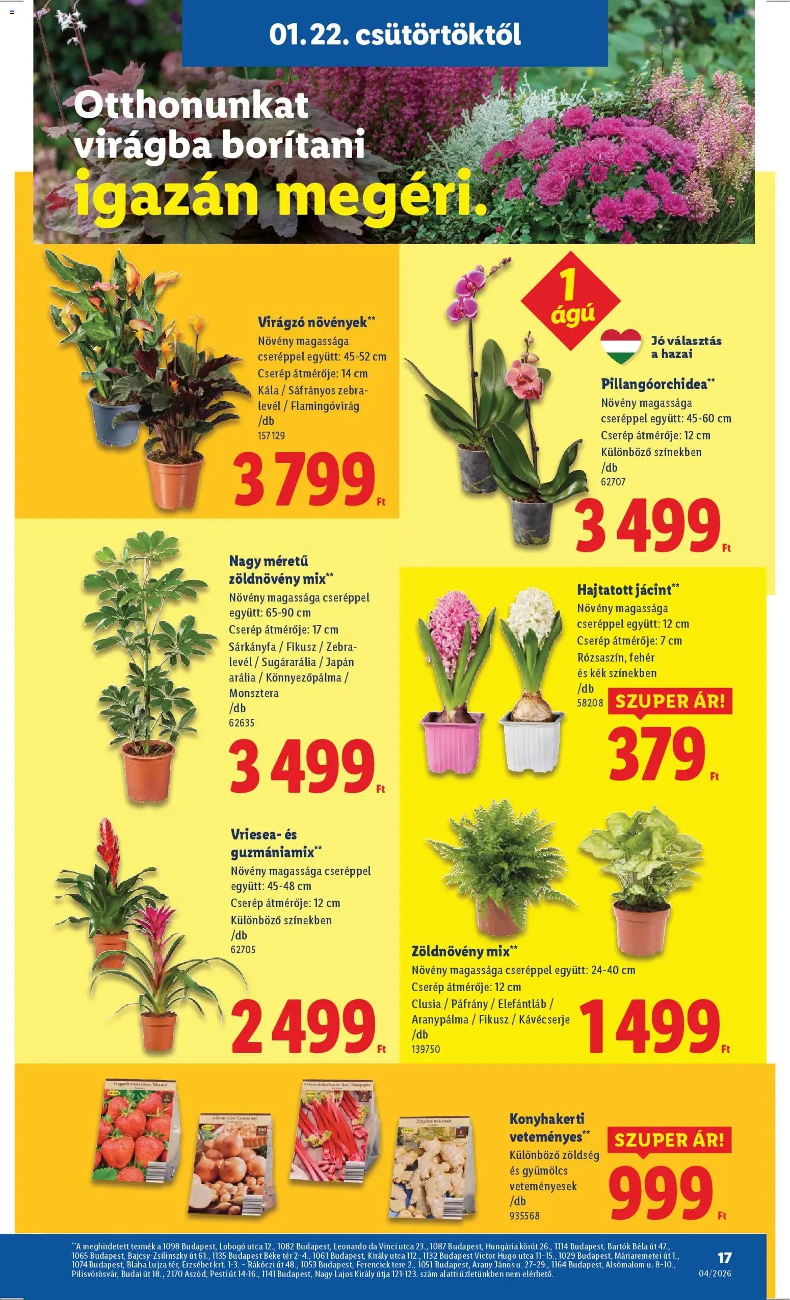 Lidl újság 2026.01.22. Akciós újság Lidl (2026-01-22 - 2026-01-28)