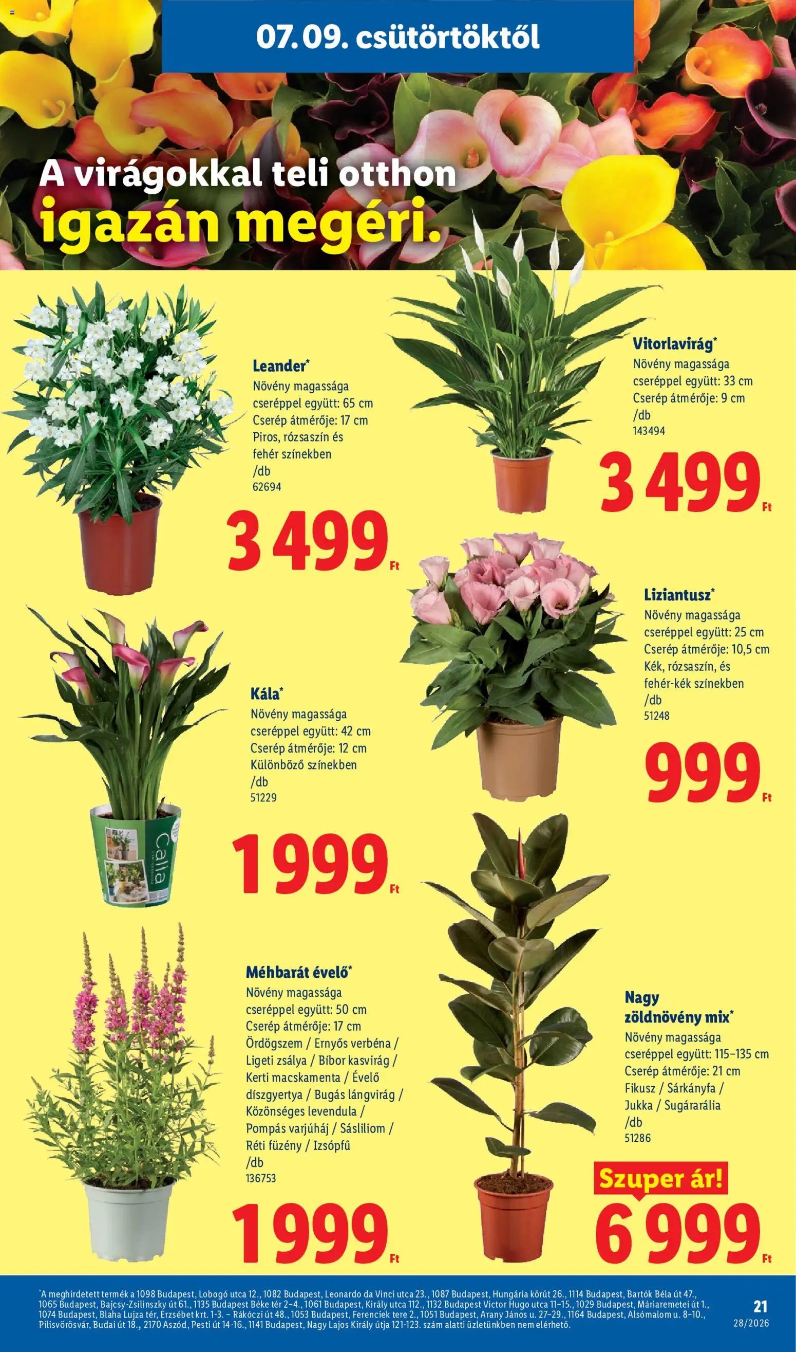 Lidl újság 2026.07.09. Lidl akciós újság