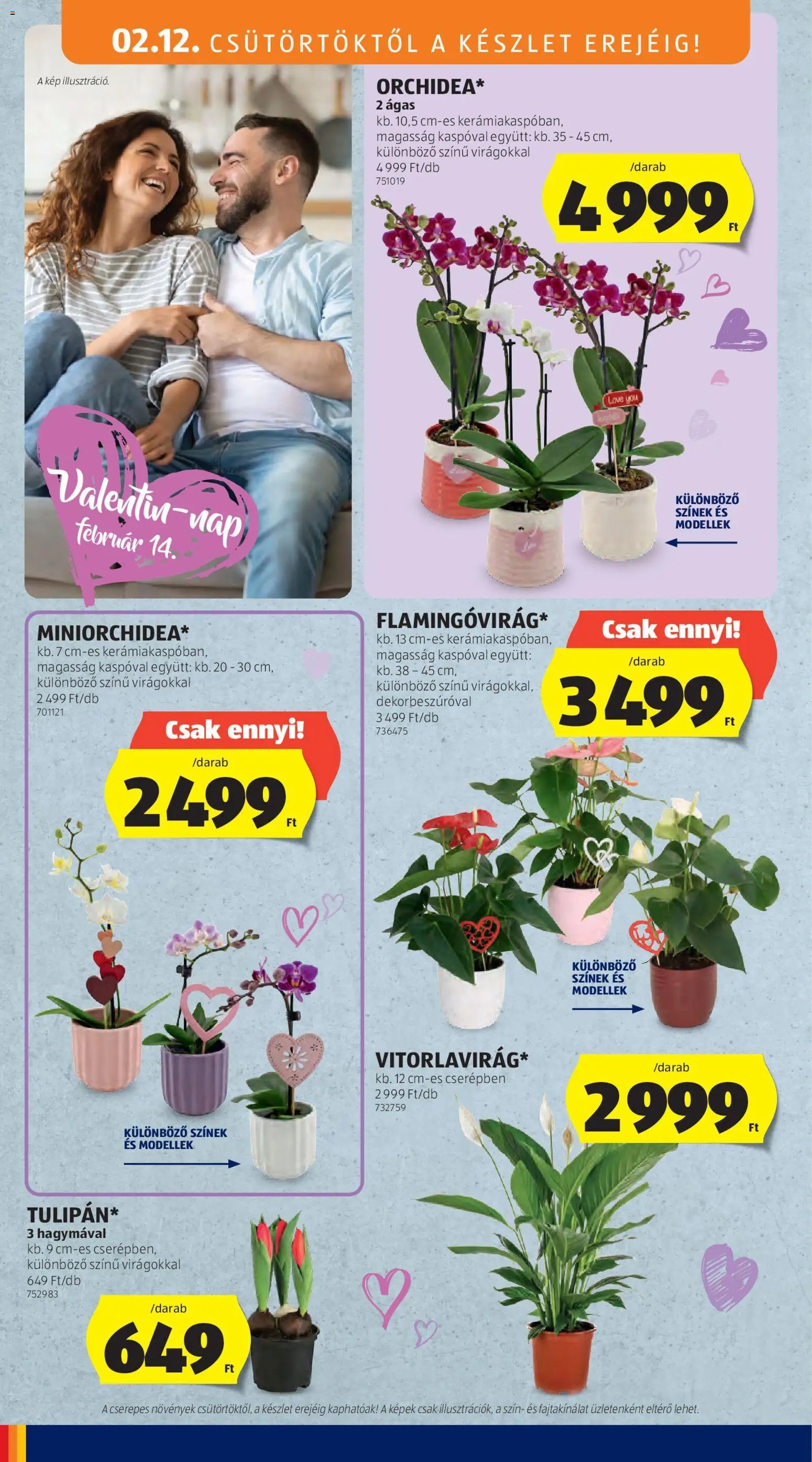 Aldi újság 2026.02.12. Akciós újság Aldi (2026-02-12 - 2026-02-18)