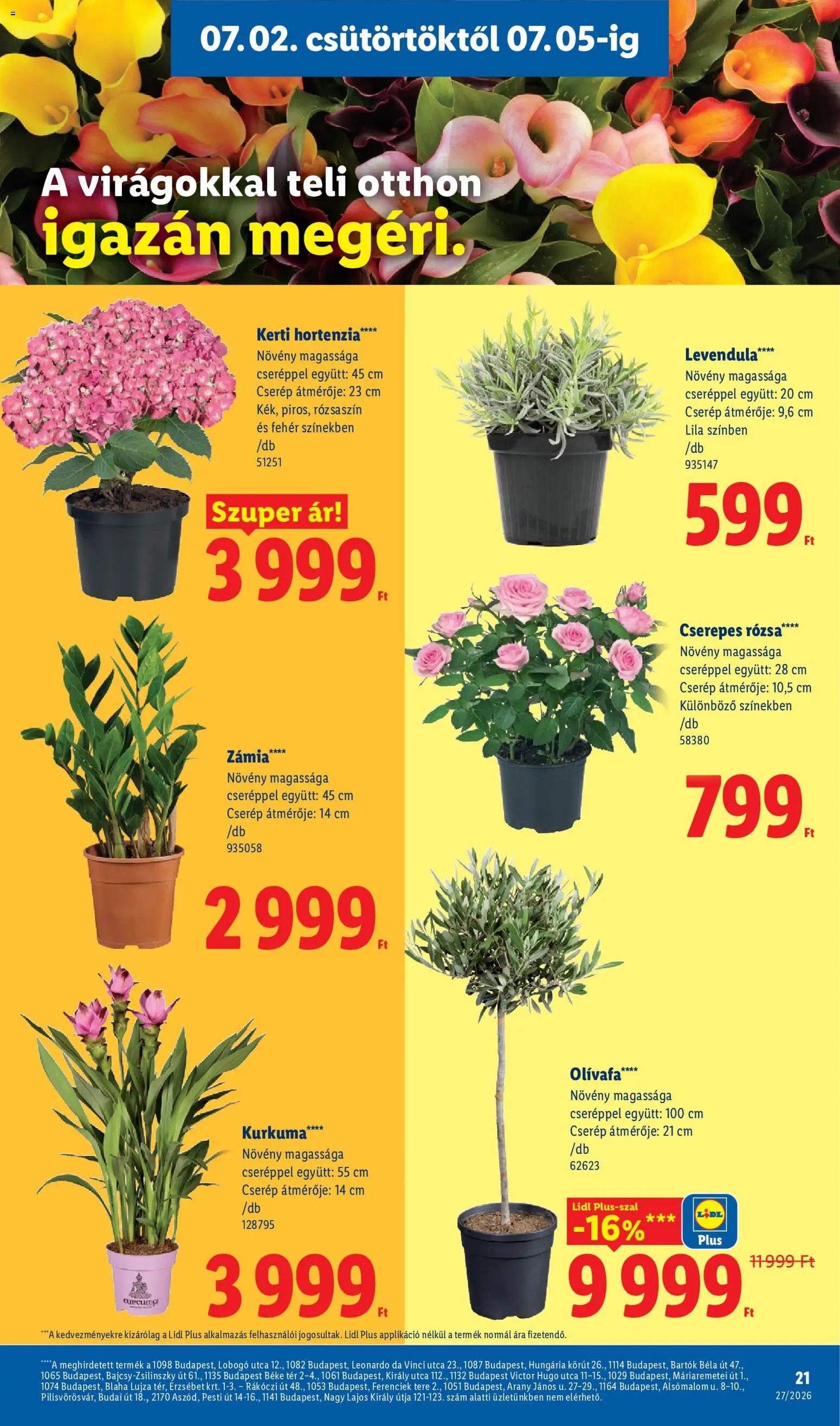Lidl újság 2026.07.02. Lidl akciós újság