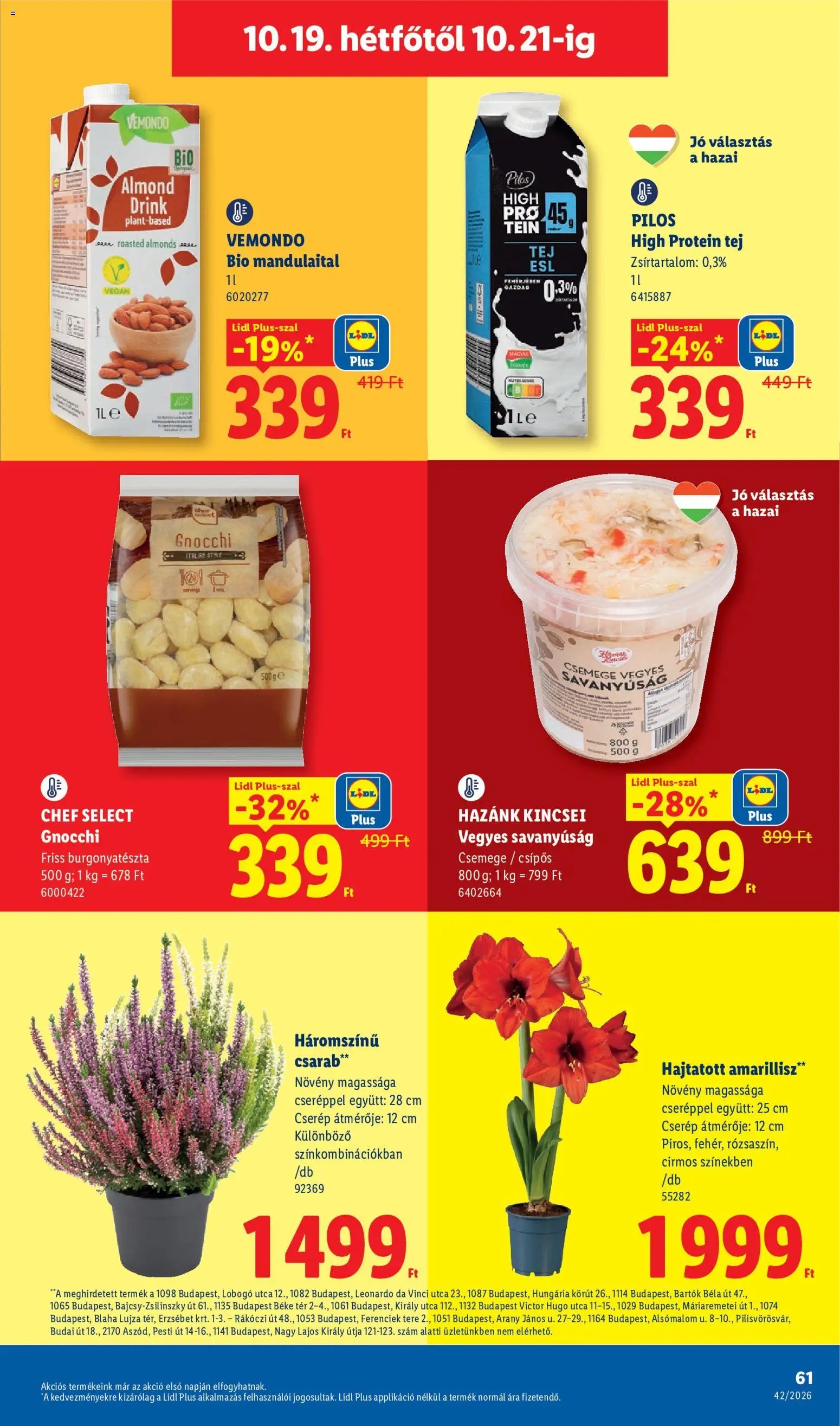 Lidl akciós ujság 2026.10.15. 🎃 HALLOWEEN 🧡