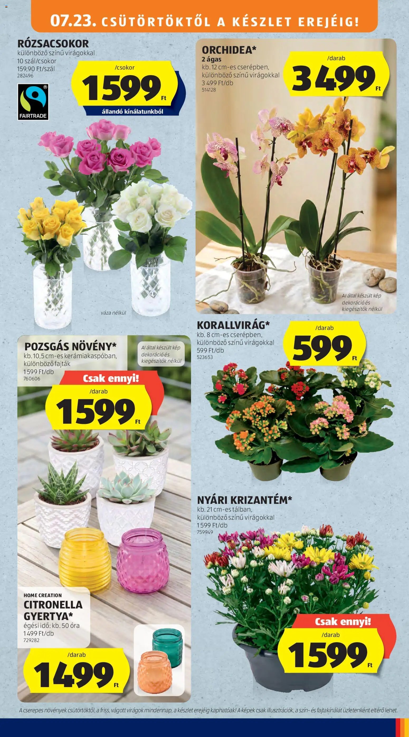 Aldi újság 2026.07.23. Aldi akciós újság