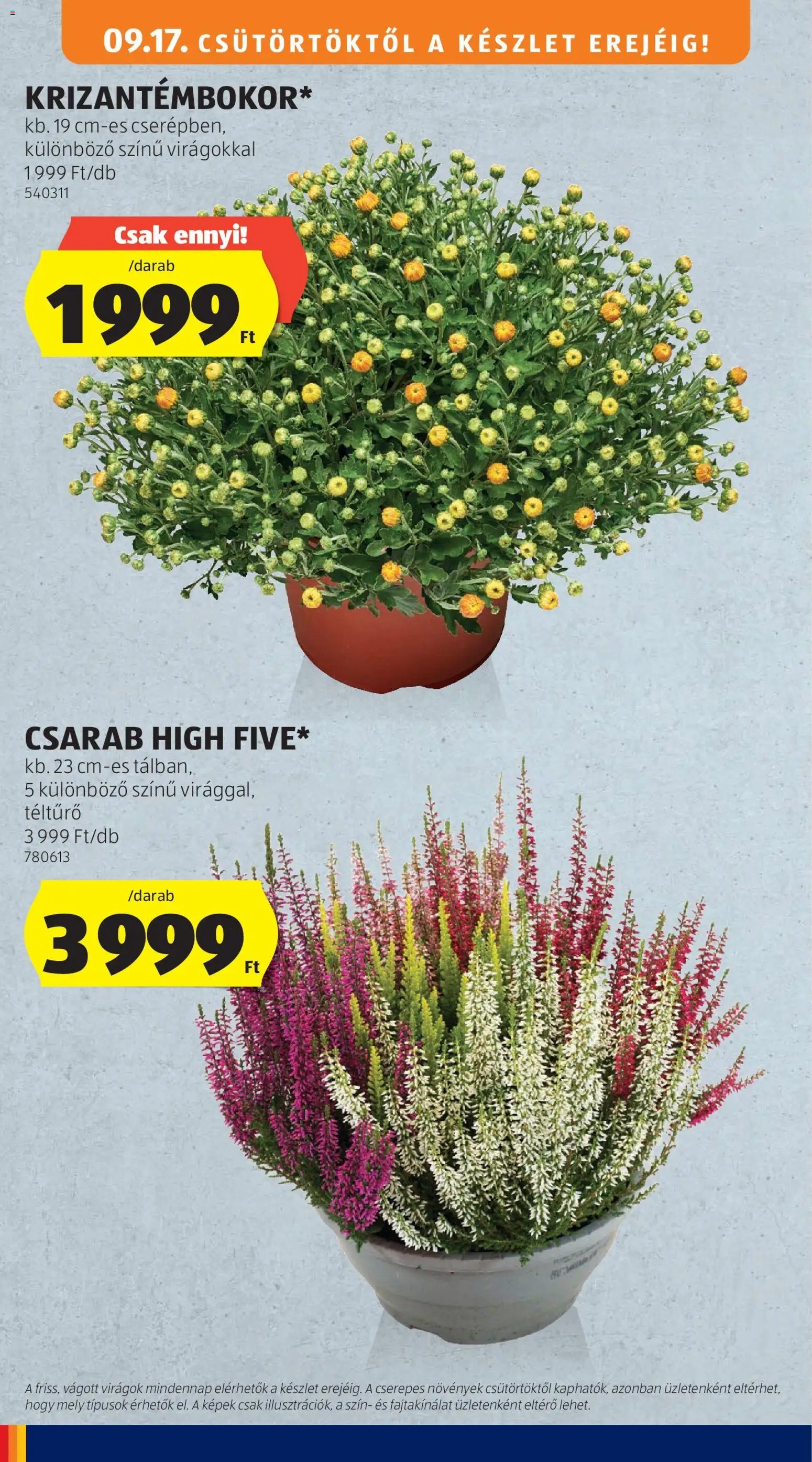 Aldi újság 2026.09.17. Aldi akciós újság