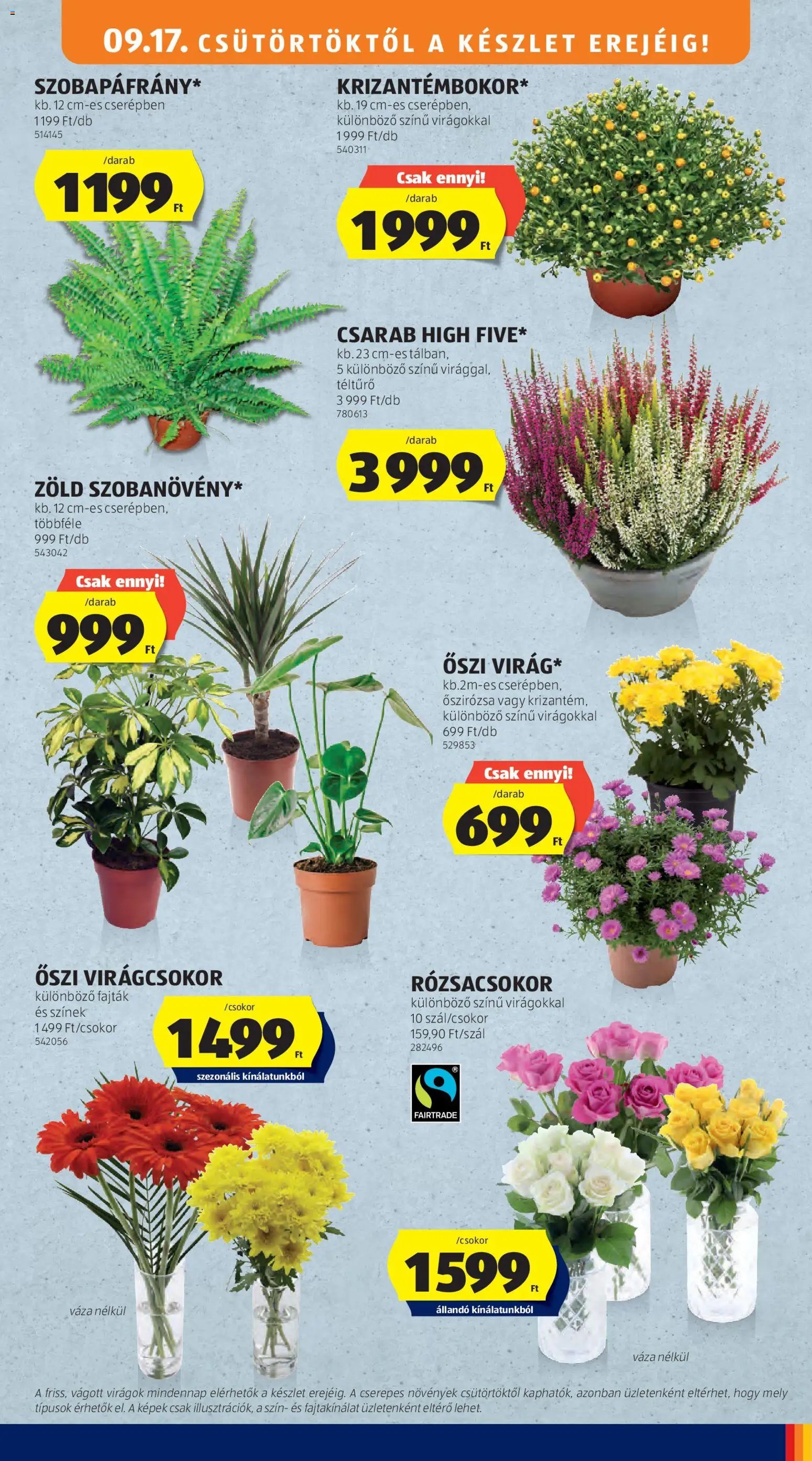 Aldi újság 2026.09.17. Aldi akciós újság