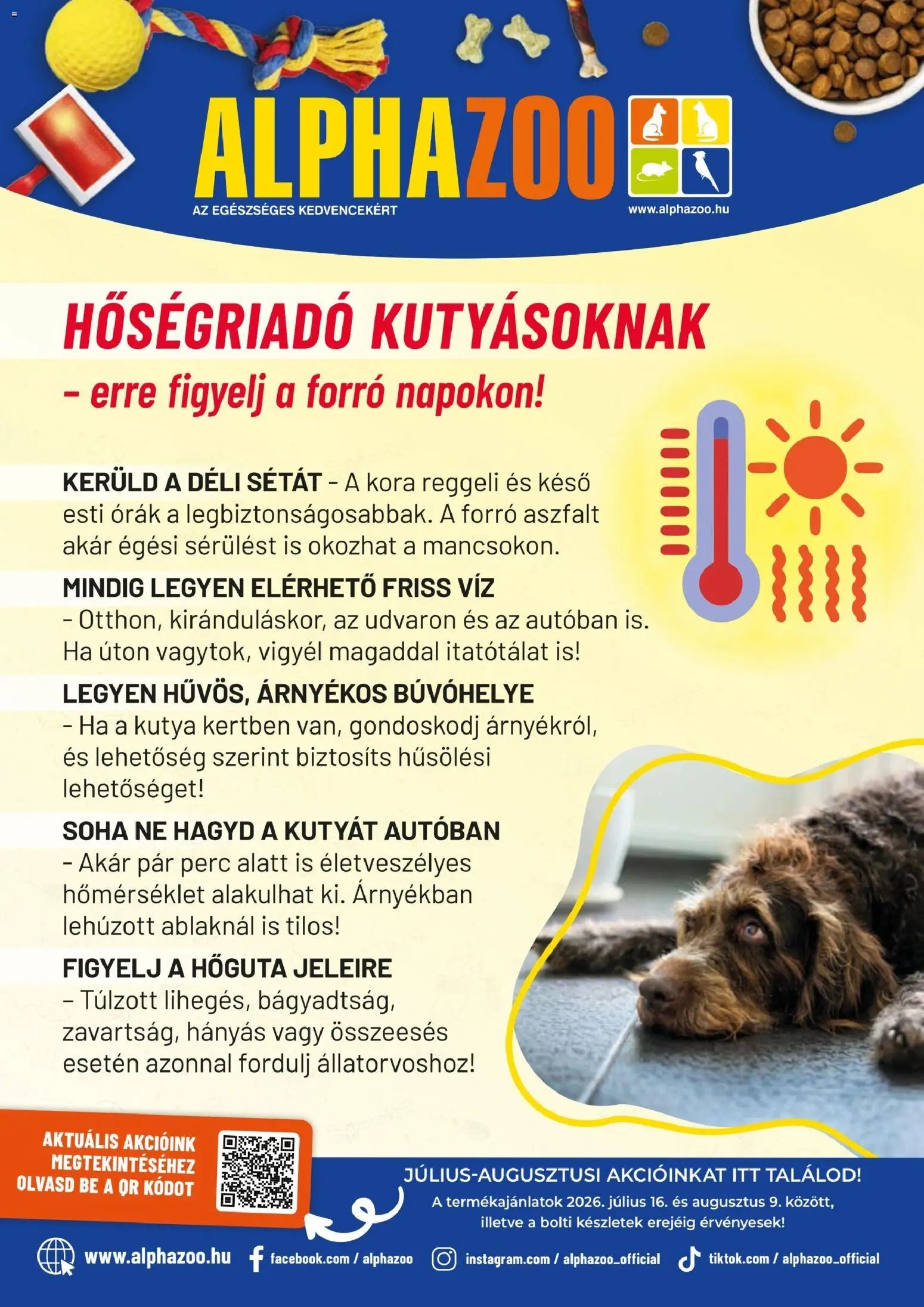 AlphaZoo újság 2026.07.16. AlphaZoo akciós újság