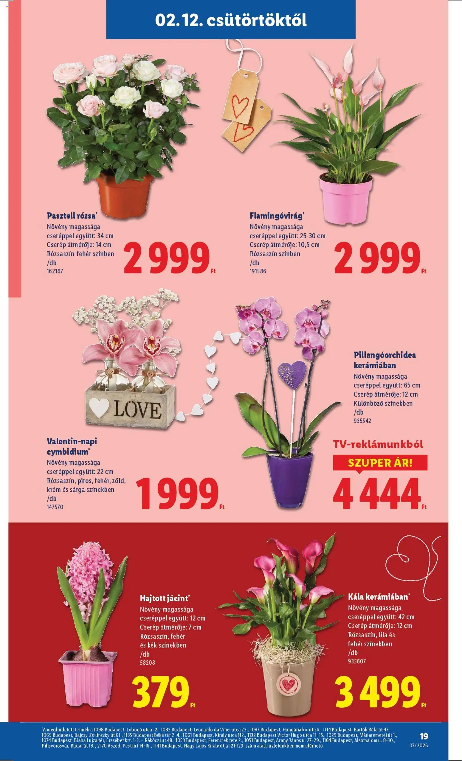 Lidl újság 2026.02.12. Akciós újság Lidl (2026-02-12 - 2026-02-18)