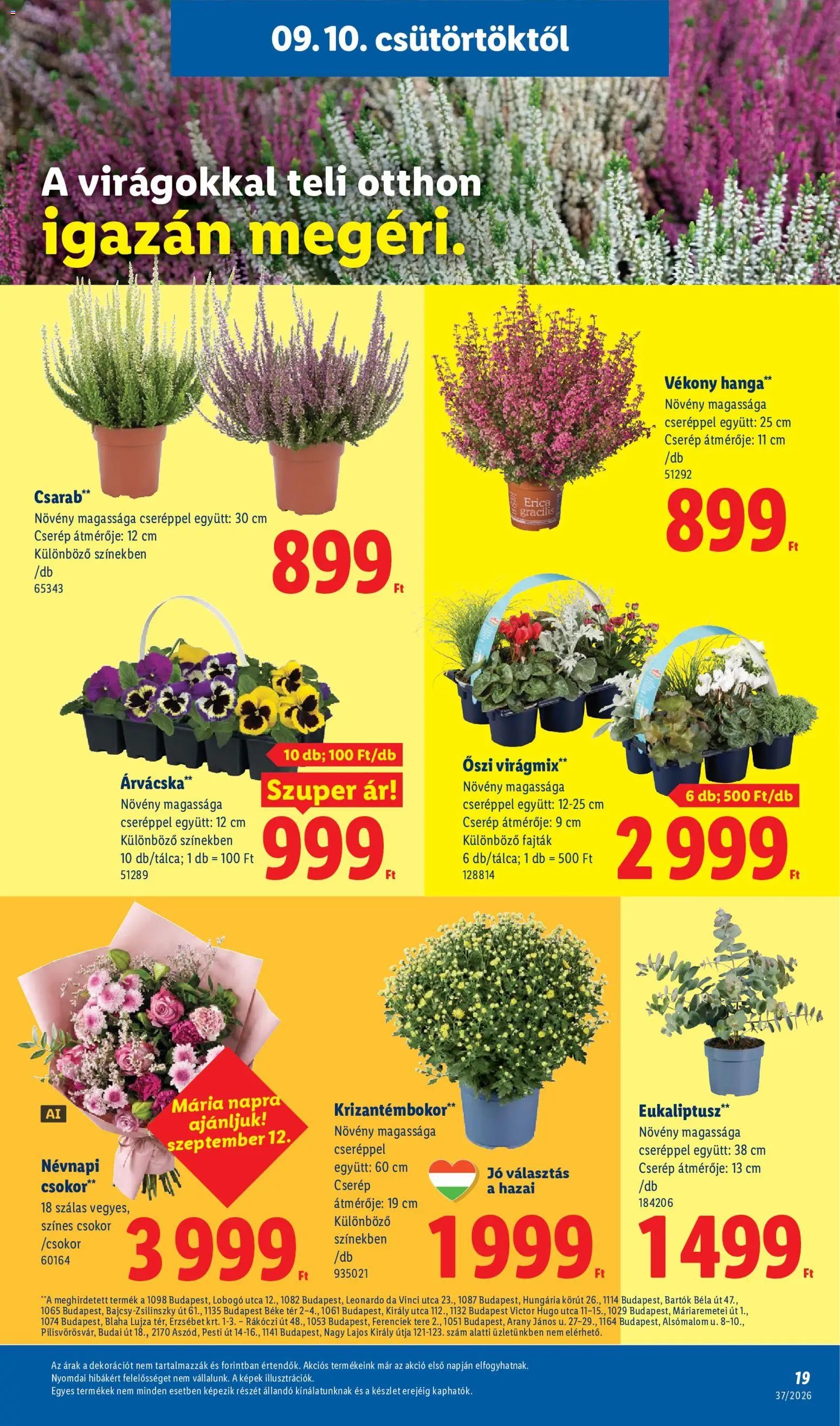 Lidl újság 2026.09.10. Lidl akciós újság