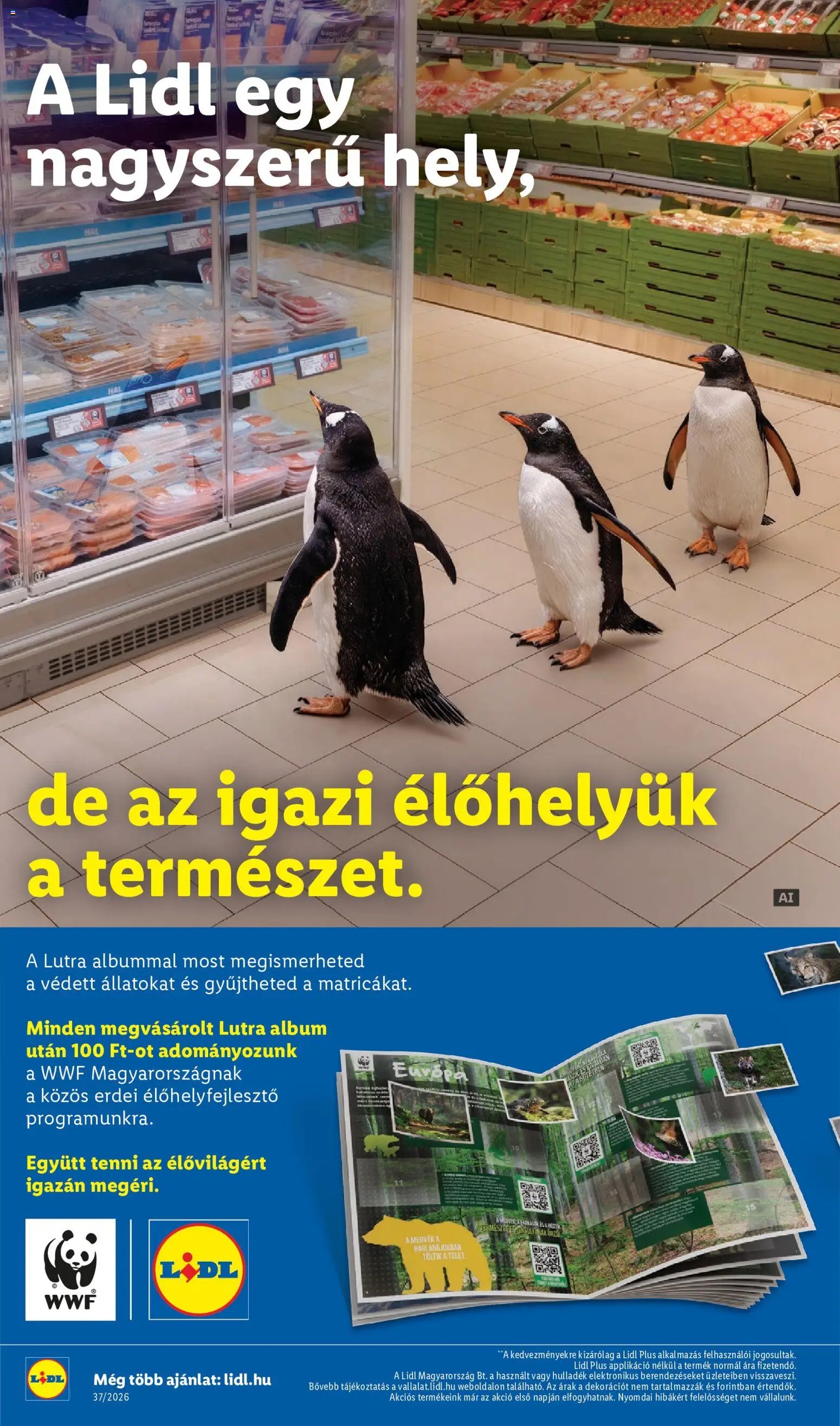 Lidl újság 2026.09.10. Lidl Nonfood kínálatunk