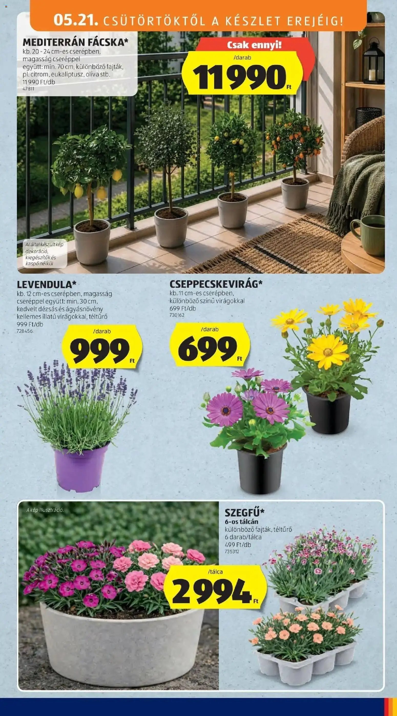 Aldi újság 2026.05.21. Aldi aktuális akciós újság (2026-05-21 - 2026-05-27)