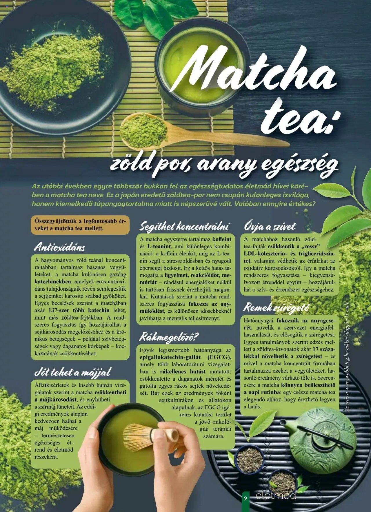 Pingvin Patika újság 2025.09.01. Pingvin Magazin (2025-09-01 - 2025-09-30)