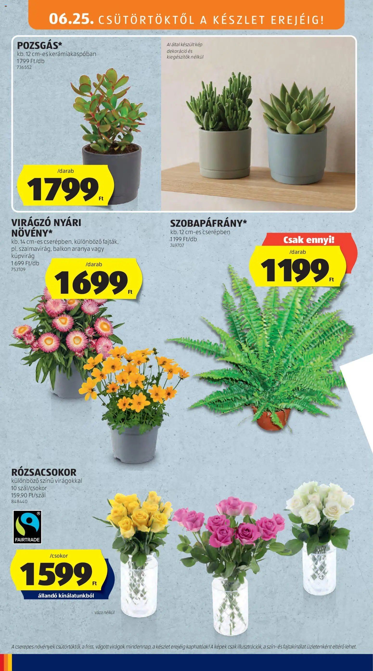 Aldi újság 2026.06.25. Aldi akciós újság