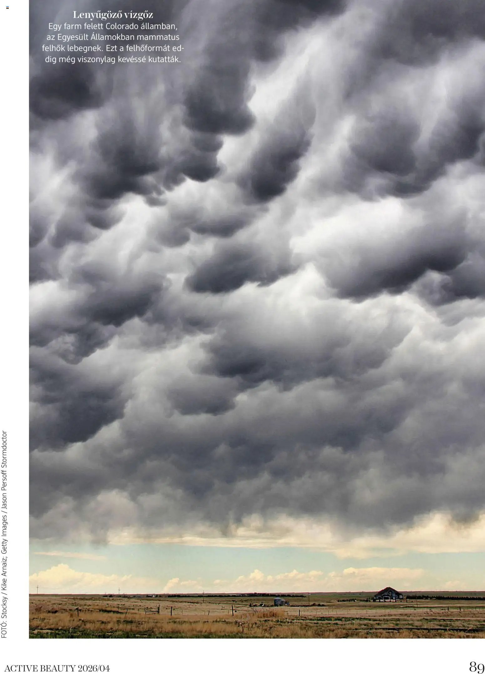 DM Drogerie Markt újság 2026.04.09. DM Drogerie Markt Active Beauty 2026/04 (2026-04-09 - 2026-04-30)