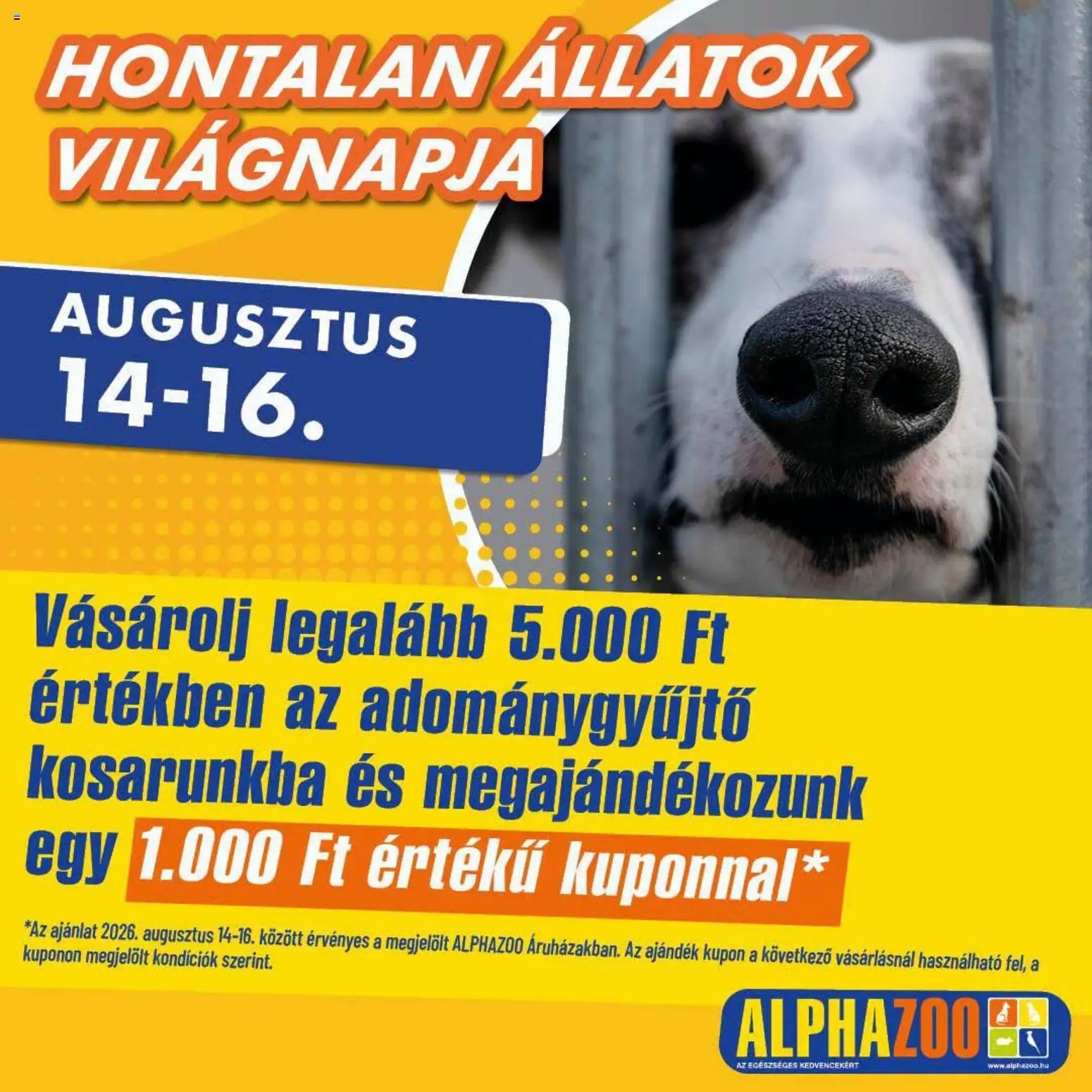 AlphaZoo újság 2026.08.14. AlphaZoo akciós újság