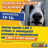 AlphaZoo újság 2026.08.14. AlphaZoo akciós újság