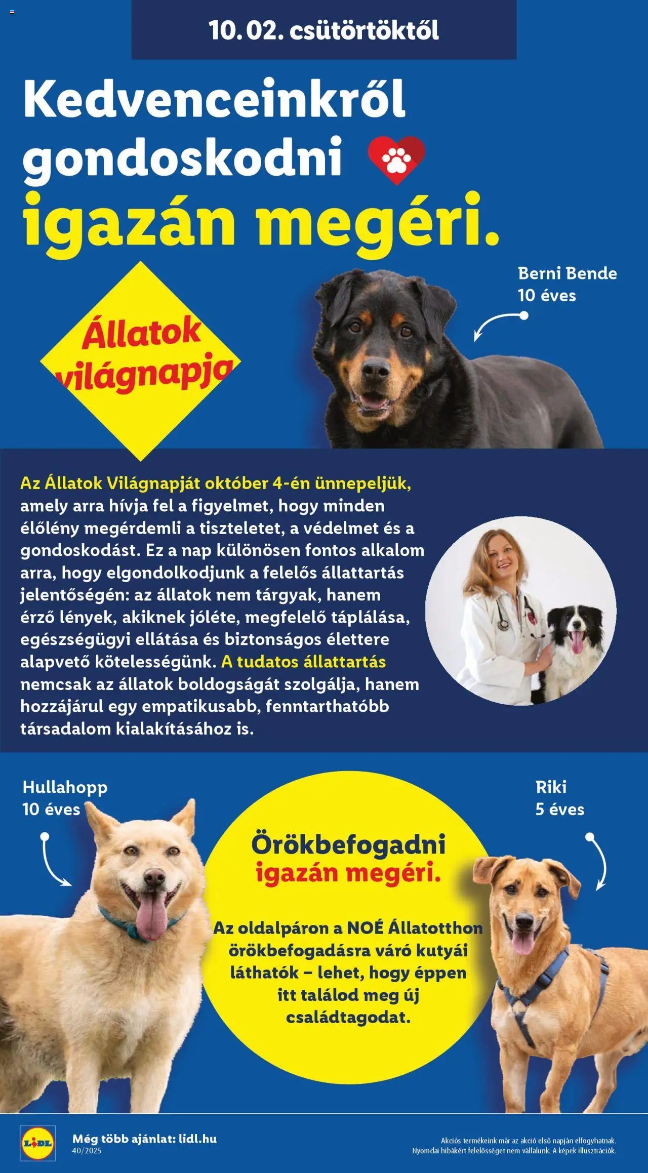 Lidl újság 2025.10.02. Akciós újság Lidl (2025-10-02 - 2025-10-08)