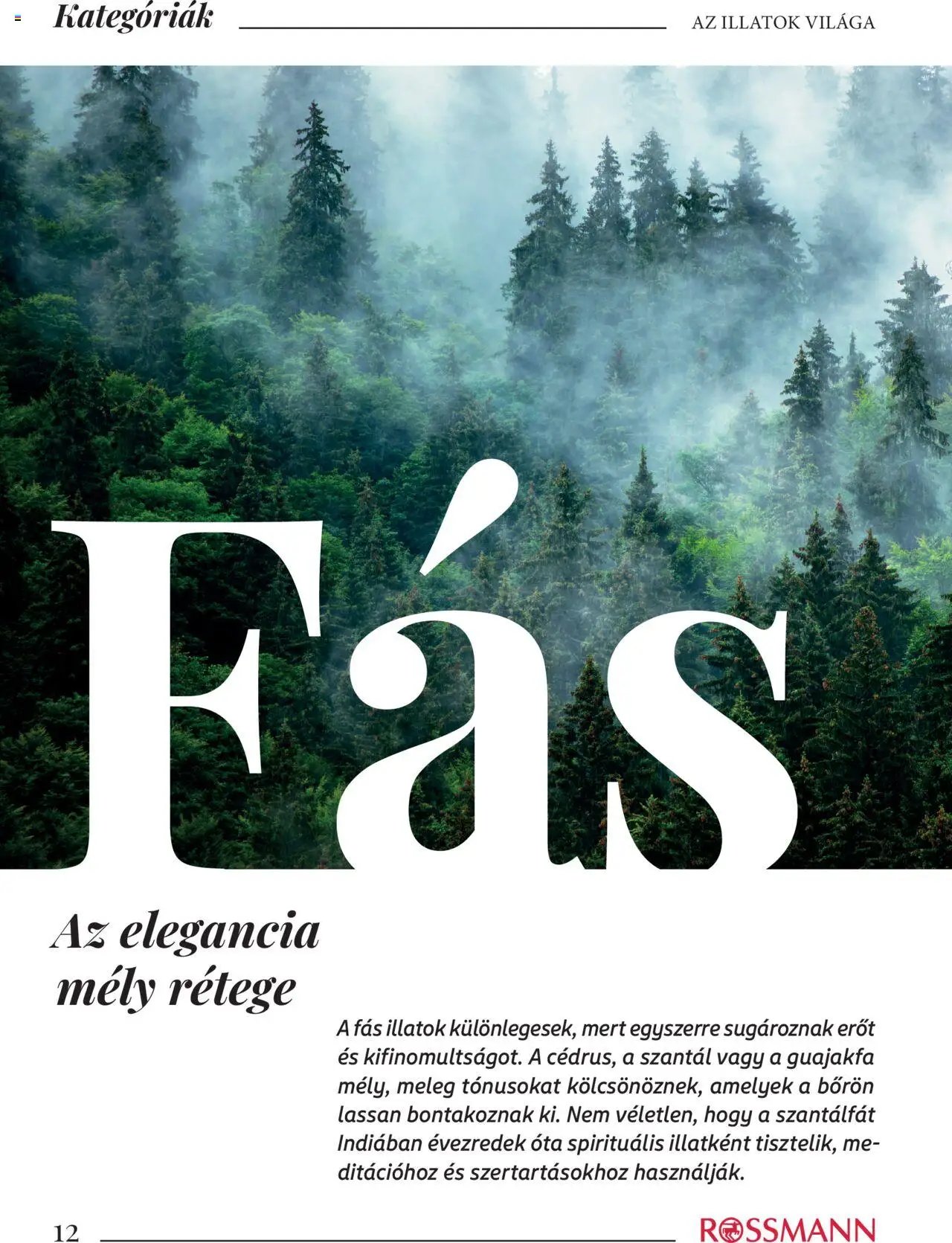 Rossmann újság 2025.10.16. Parfümvarázs magazin (2025-10-16)