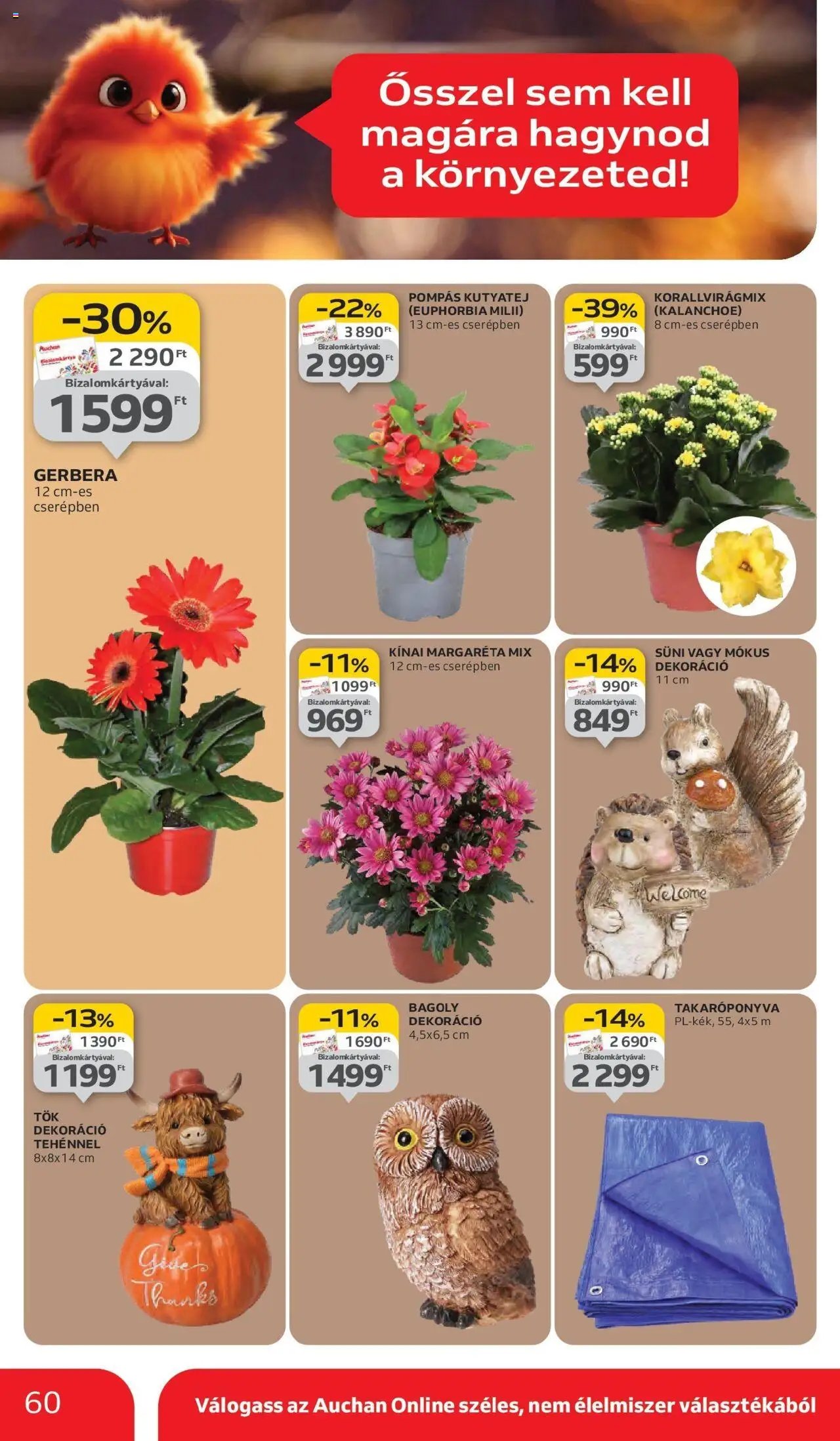 Auchan újság 2025.10.03. Auchan újság érvényessége 10.08.-ig (2025-10-03 - 2025-10-08)