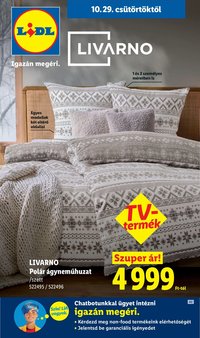 Lidl Nonfood kínálatunk 2026.10.29. - lapozható formában szórólap ✳️