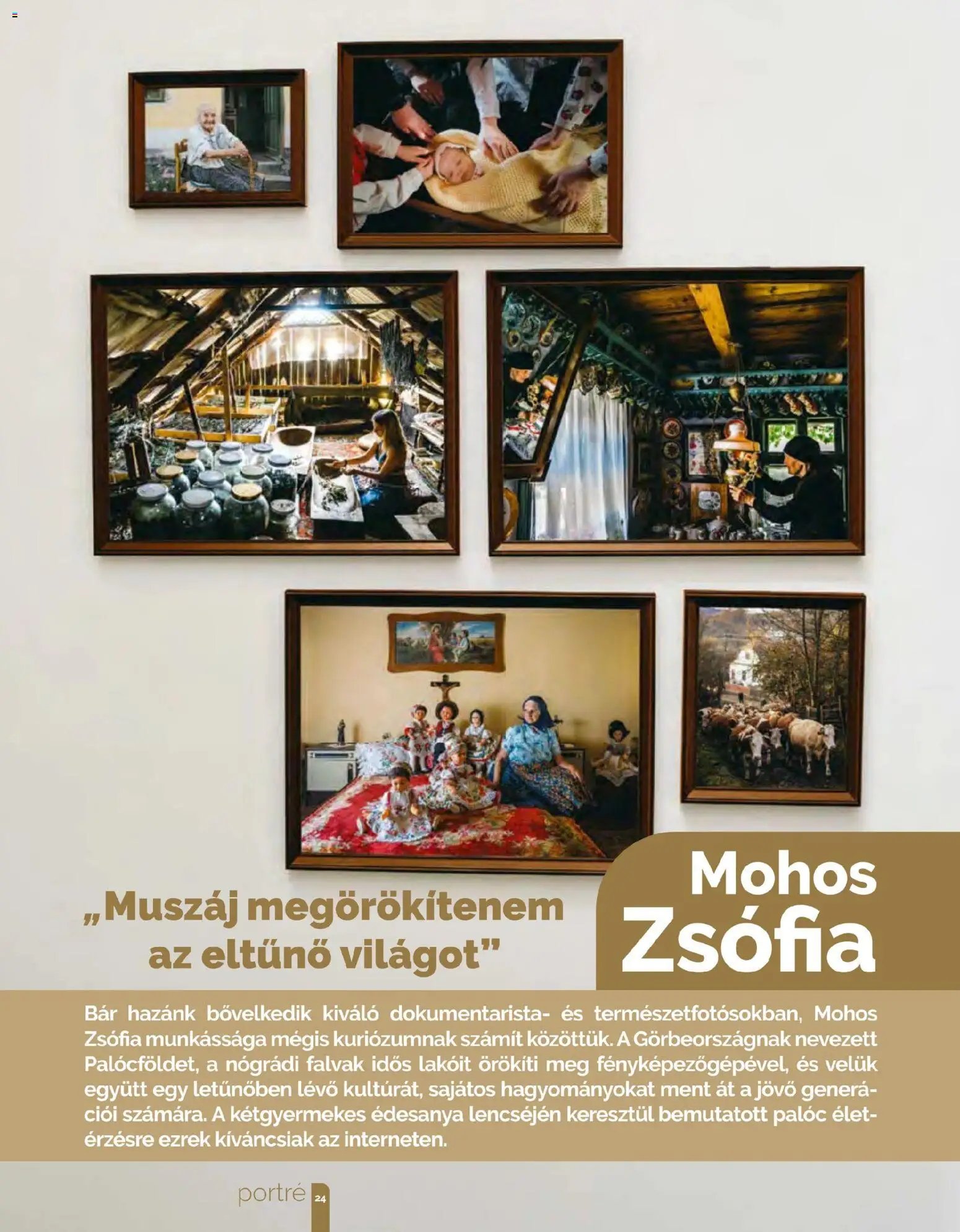 Pingvin Patika újság 2026.02.01. Pingvin Magazin (2026-02-01 - 2026-02-28)