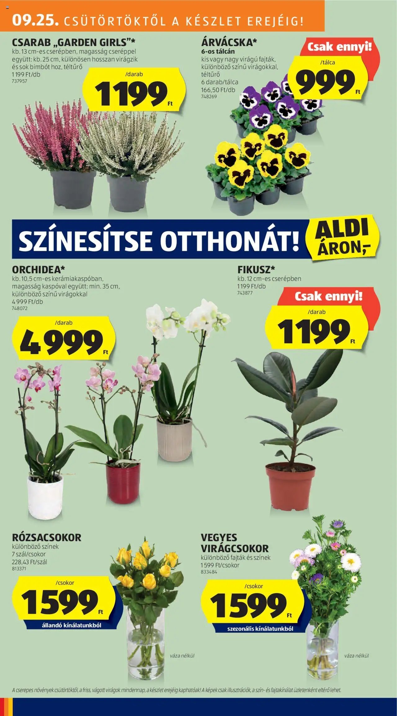 Aldi újság 2025.09.25. Akciós újság Aldi (2025-09-25 - 2025-10-01)