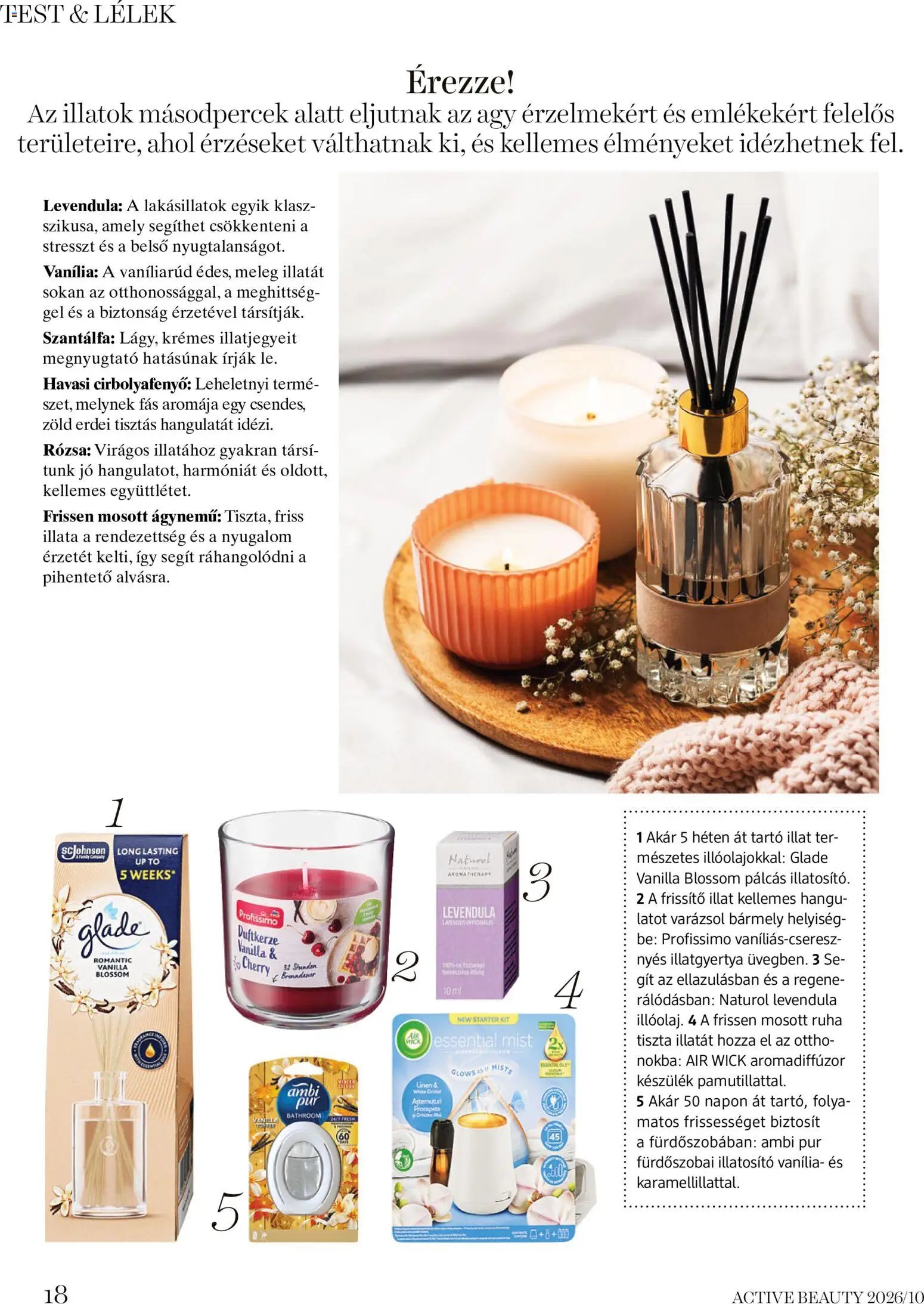 DM Drogerie Markt Active Beauty 2026/10 2026.10.15. - lapozható formában szórólap ✳️