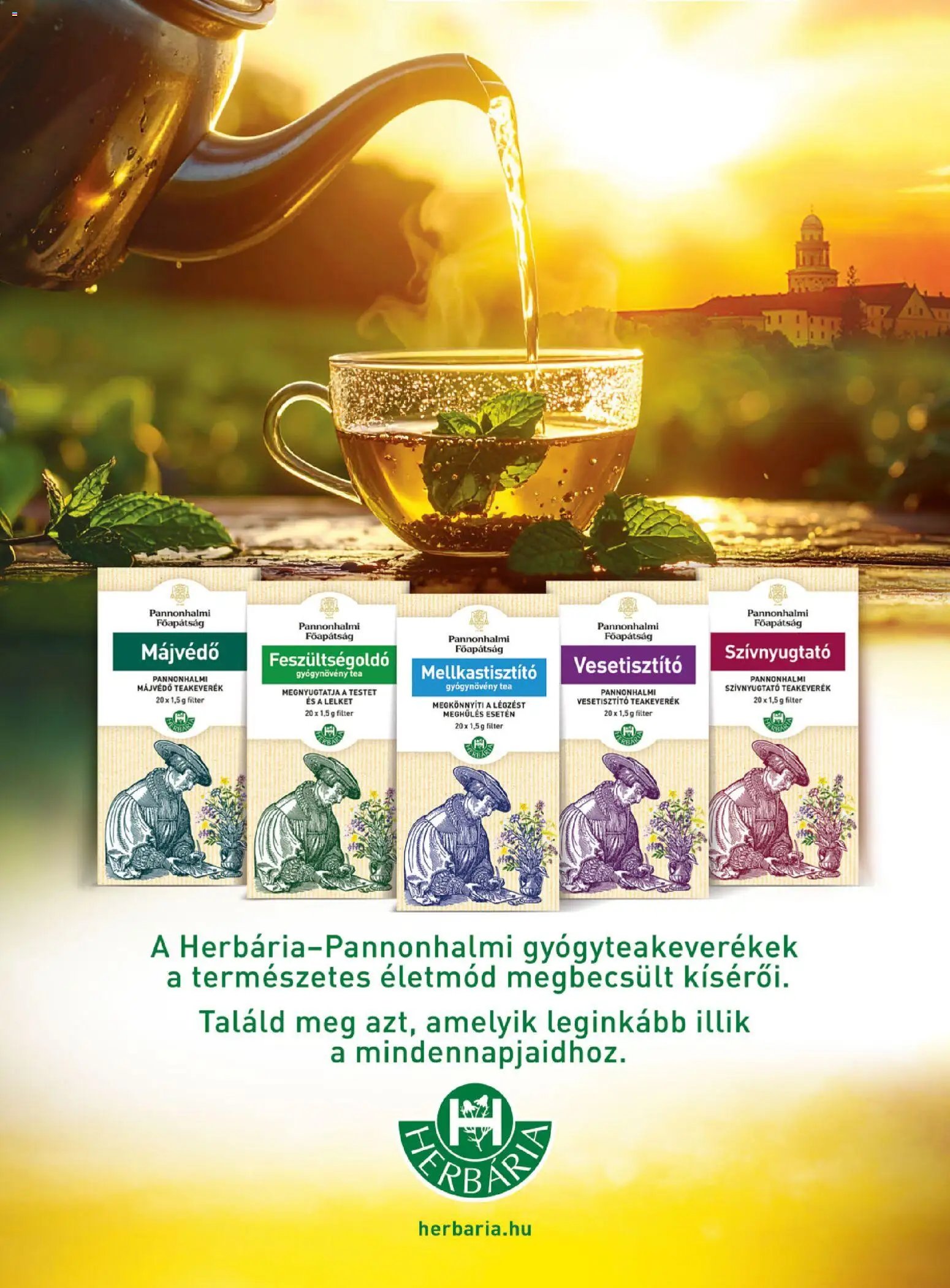 DM Drogerie Markt Active Beauty 2026/10 2026.10.15. - lapozható formában szórólap ✳️