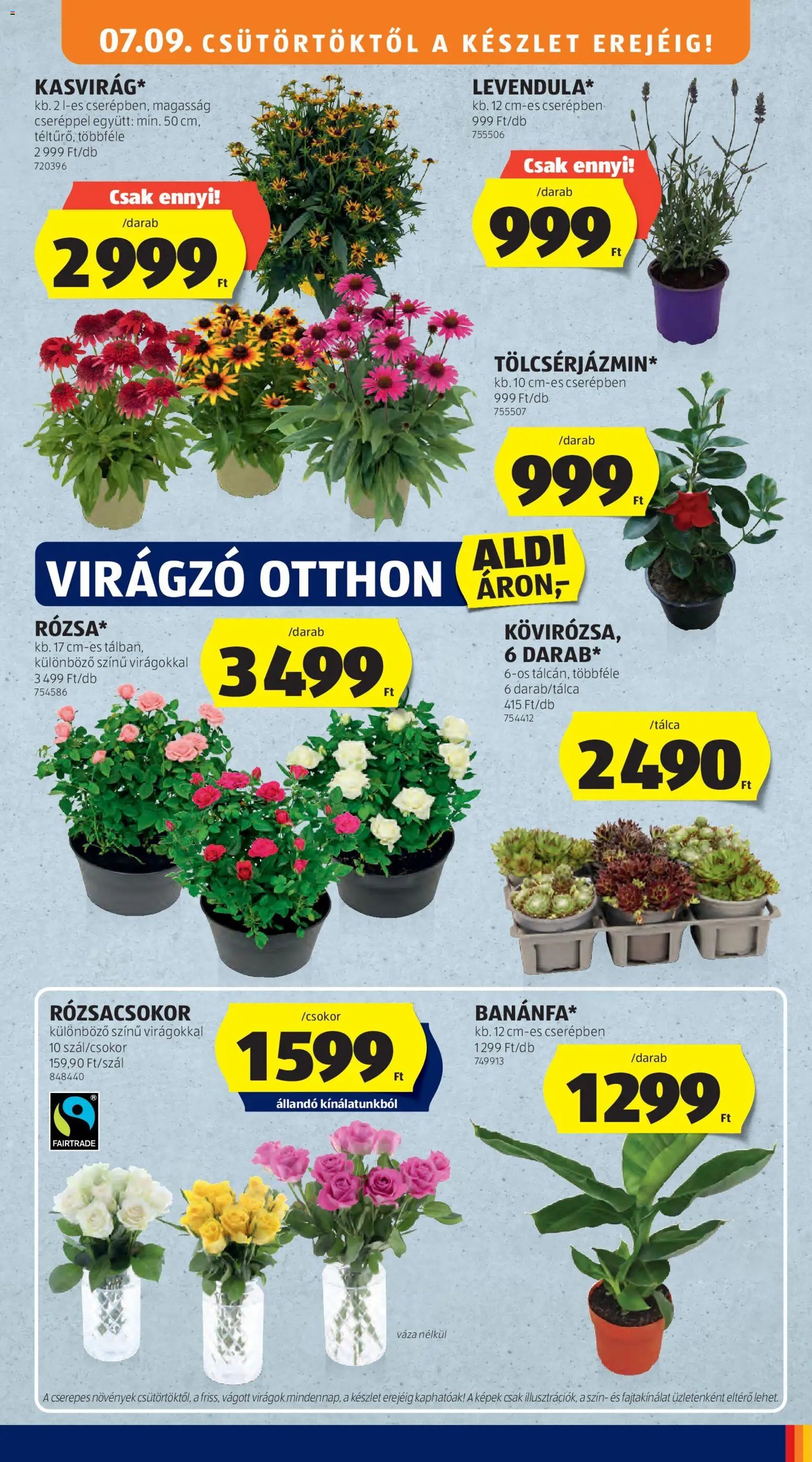 Aldi újság 2026.07.09. Aldi Középső sor termékei