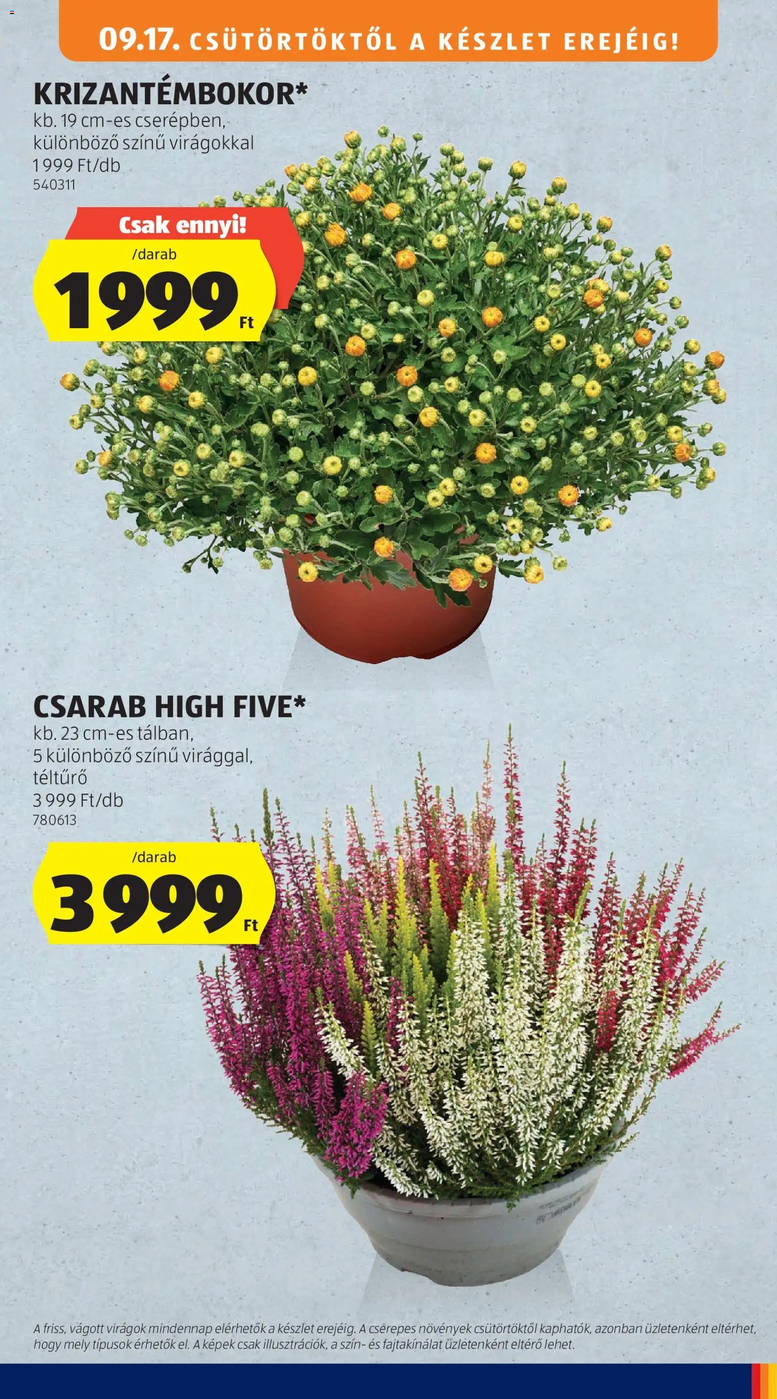 Aldi újság 2026.09.17. Aldi Középső sor termékei