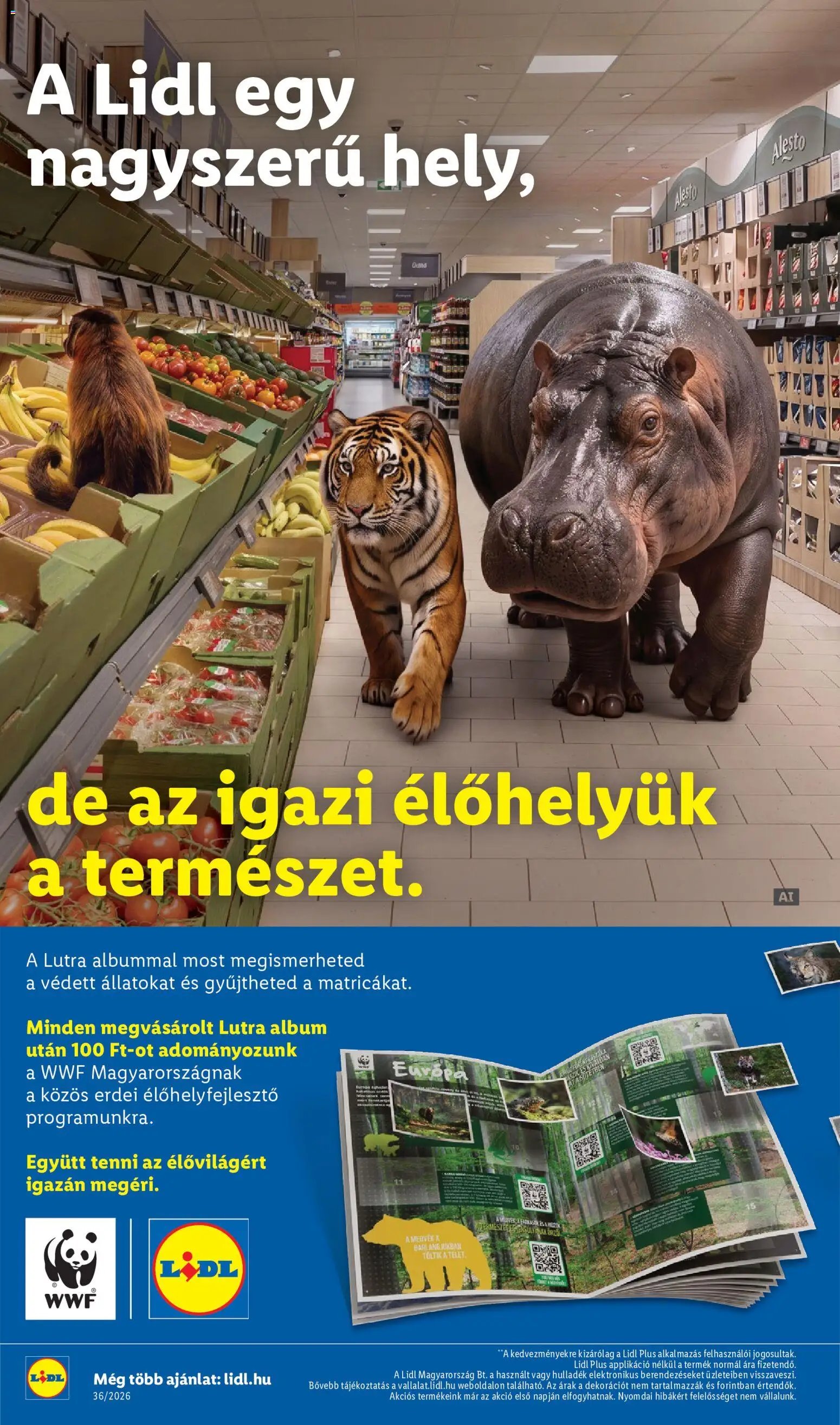 Lidl újság 2026.09.03. Lidl akciós újság
