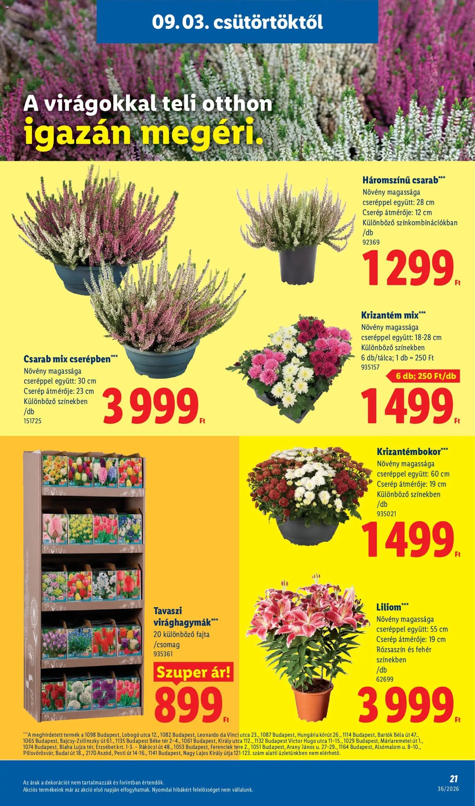 Lidl újság 2026.09.03. Lidl akciós újság