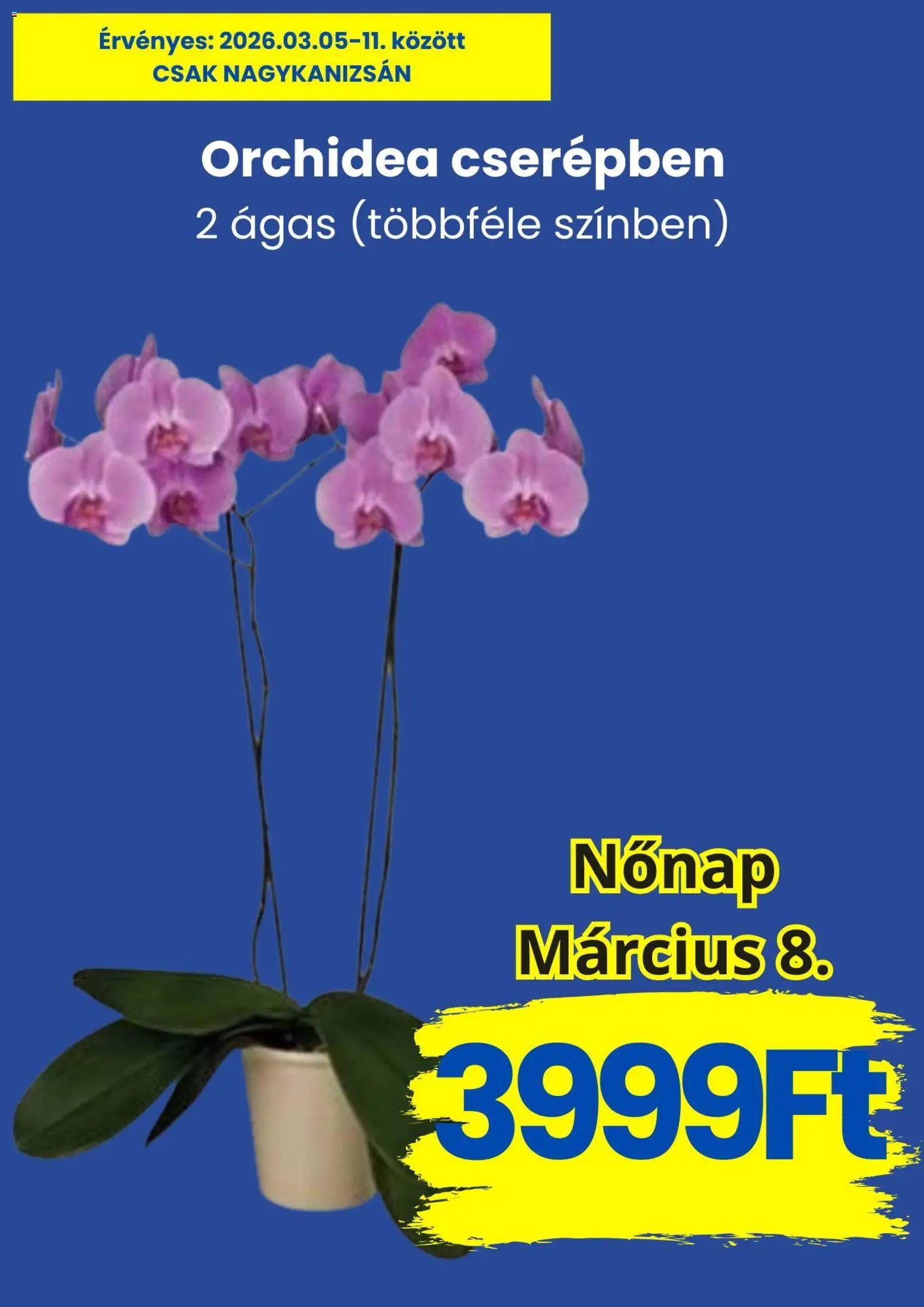 Magnetic újság 2026.03.05. Magnetic akciós újság (2026-03-05 - 2026-03-11)