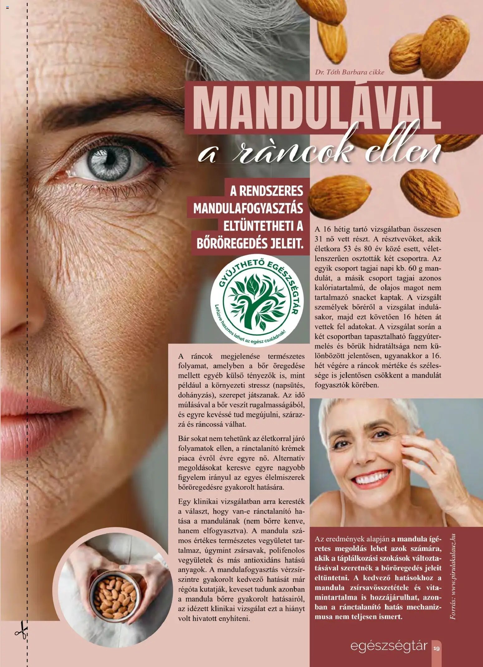 Pingvin Patika újság 2026.01.01. Pingvin Magazin (2026-01-01 - 2026-01-31)