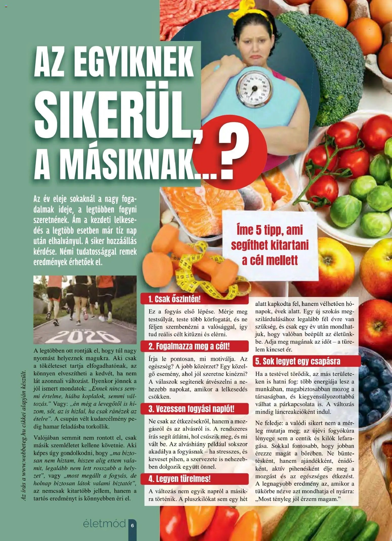 Pingvin Patika újság 2026.01.01. Pingvin Magazin (2026-01-01 - 2026-01-31)