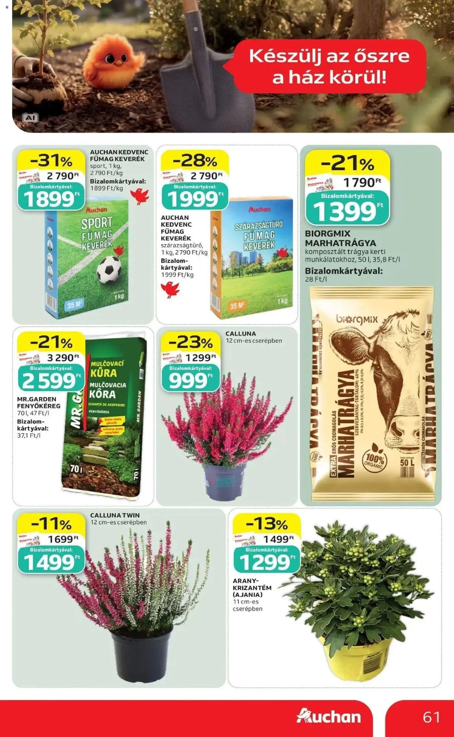 Auchan újság 2026.09.03. Auchan akciós újság Szolnok