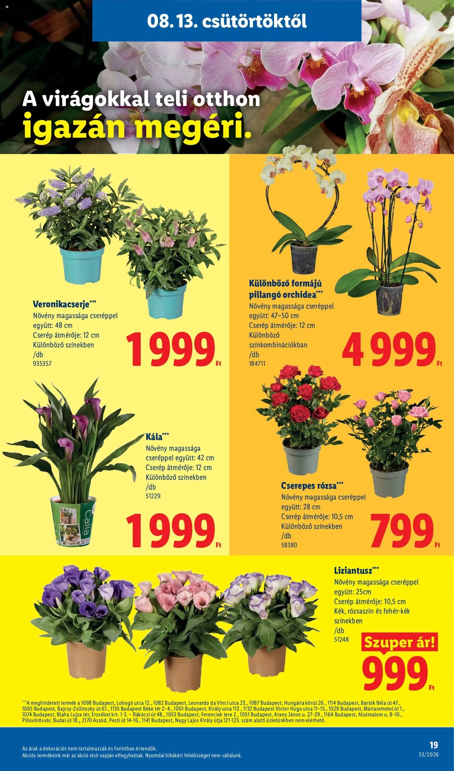 Lidl újság 2026.08.13. Lidl akciós újság