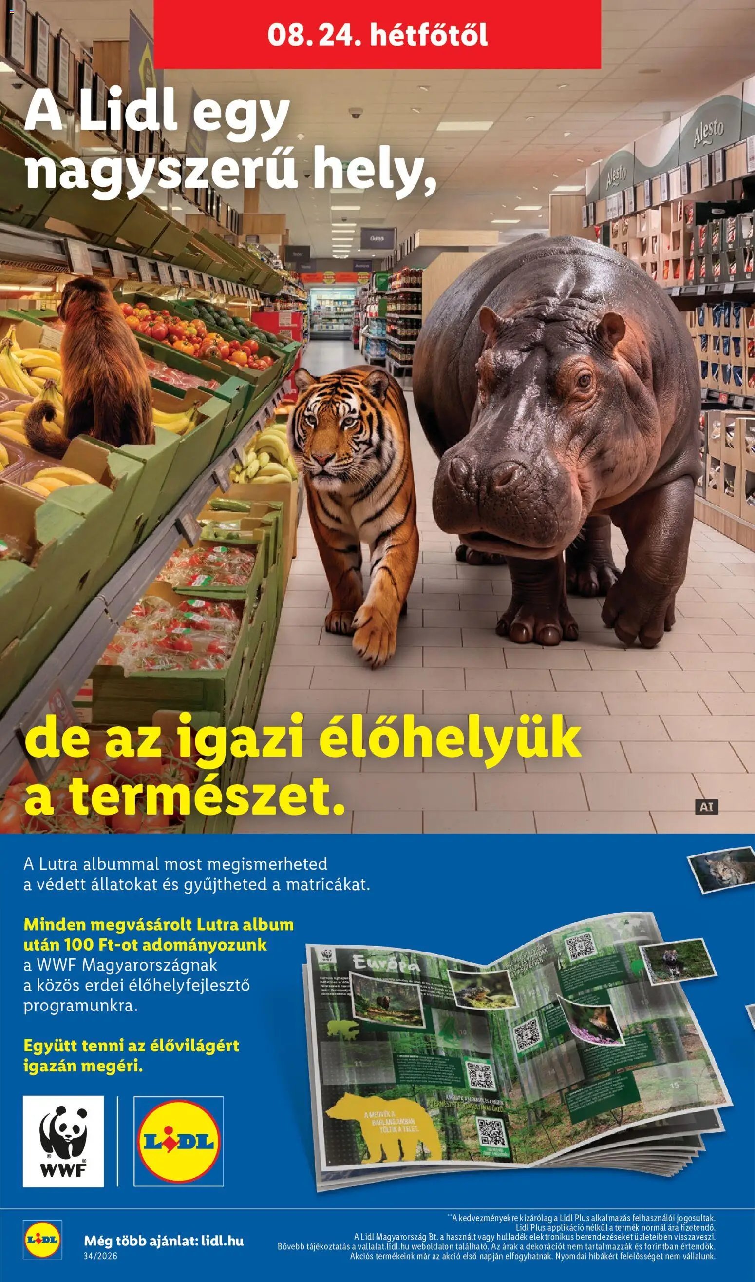 Lidl újság 2026.08.19. Lidl Nonfood kínálatunk