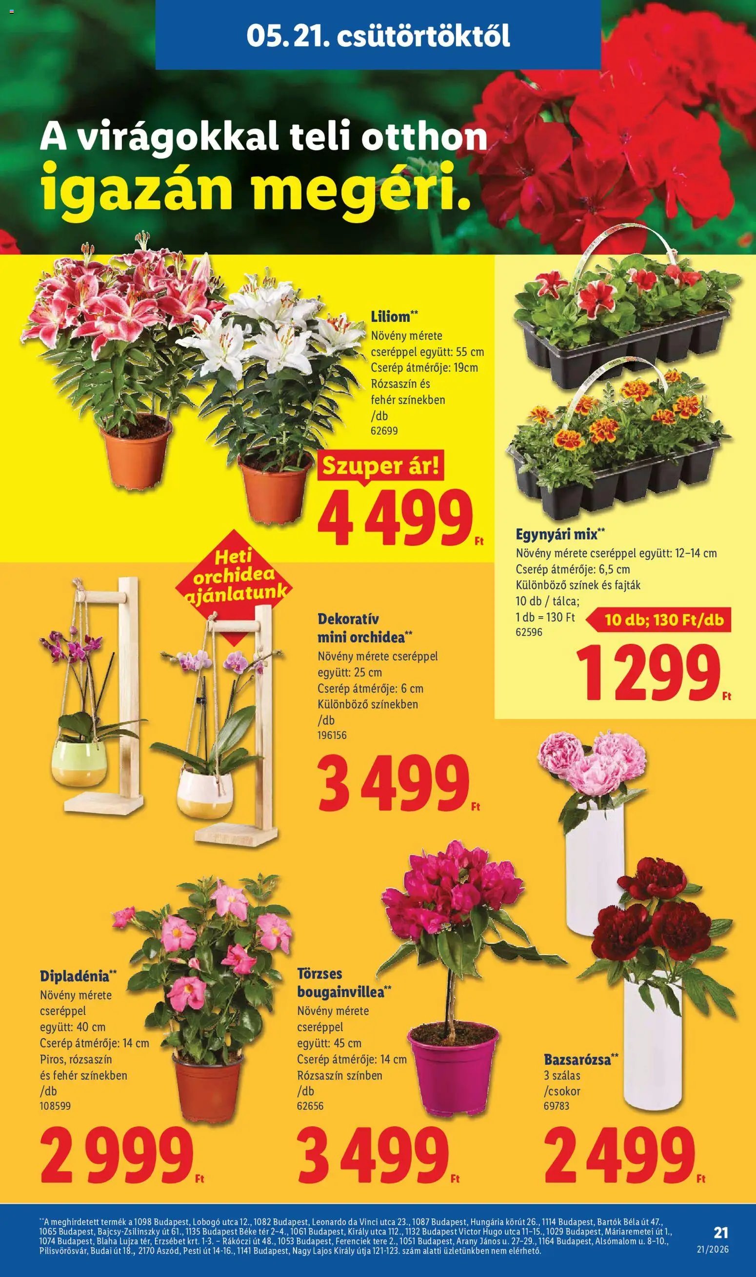 Lidl újság 2026.05.21. Lidl akciós újság (2026-05-21 - 2026-05-27)