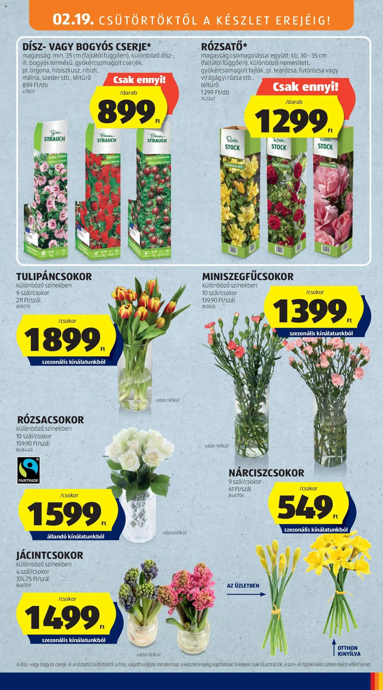 Aldi újság 2026.02.19. Középső sor termékei (2026-02-19 - 2026-02-25)