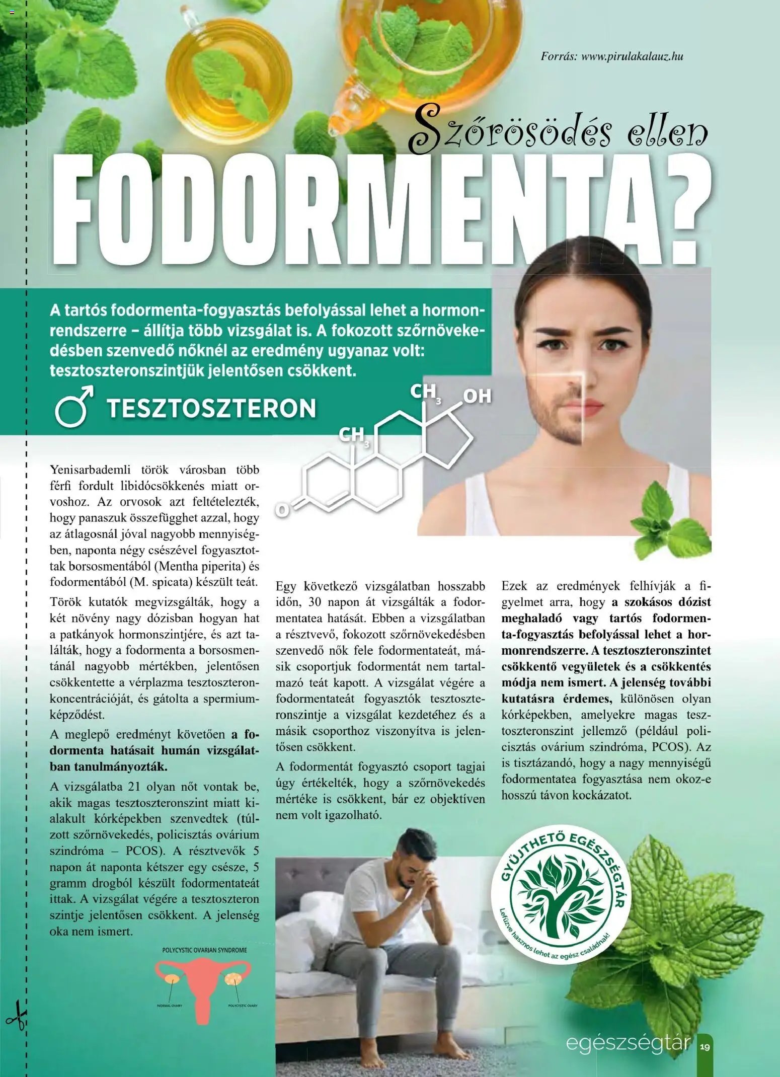 Pingvin Patika újság 2025.11.01. Pingvin Magazin (2025-11-01 - 2025-11-30)