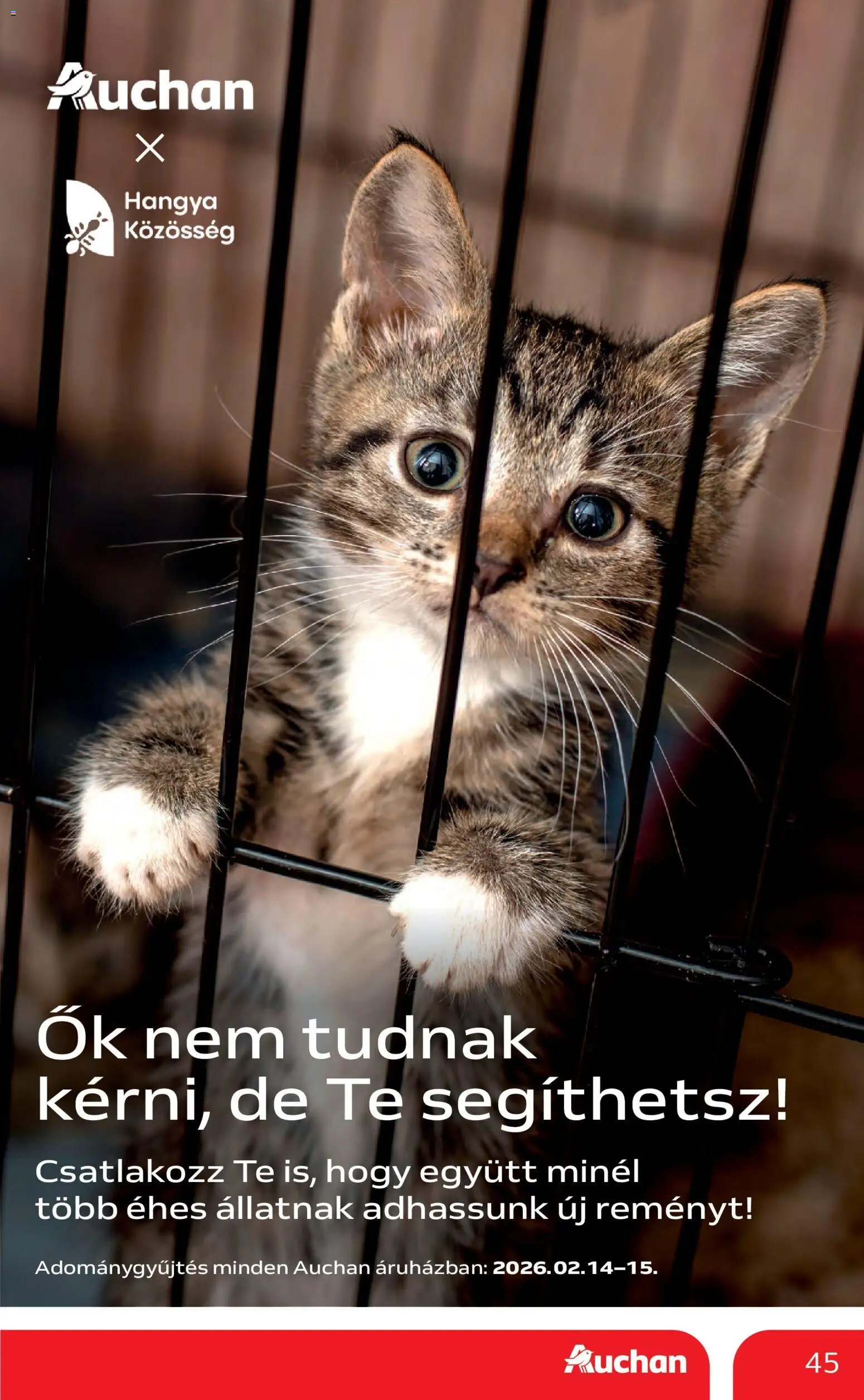 Auchan újság 2026.02.12. Szupermarket akciós újság (2026-02-12 - 2026-02-18)
