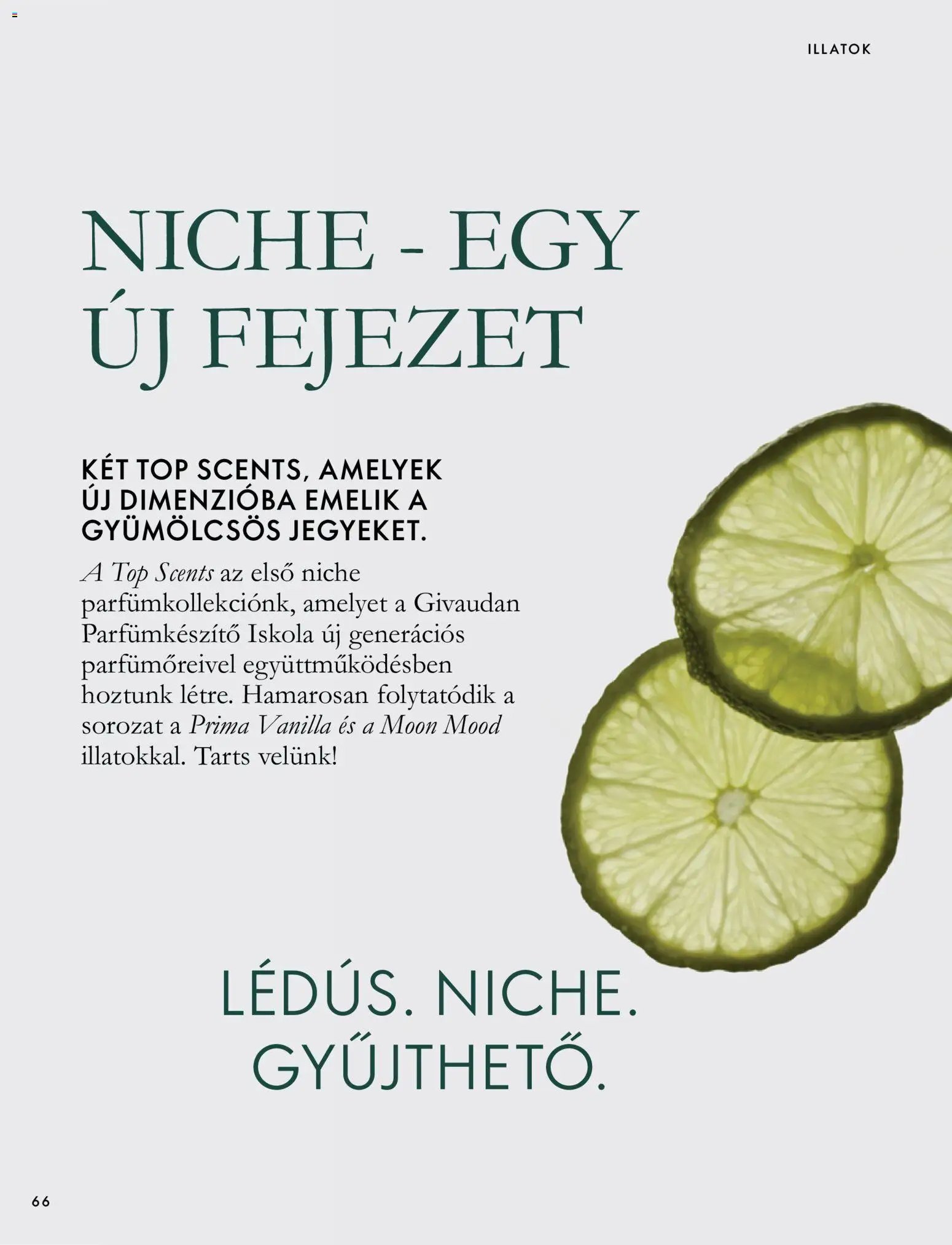 Oriflame újság 2026.09.30. Oriflame katalógus 2026/14