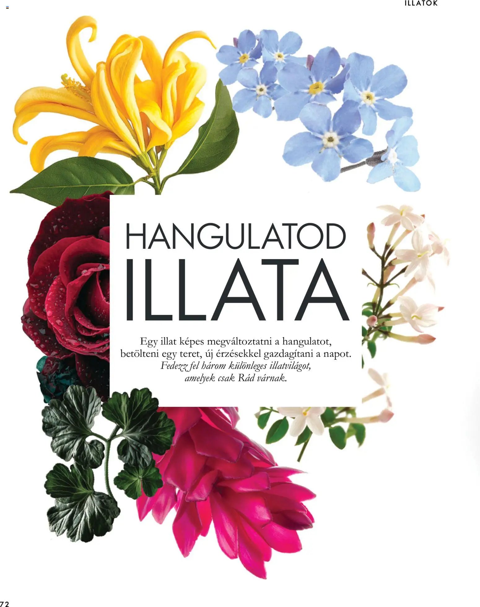 Oriflame újság 2026.09.30. Oriflame katalógus 2026/14