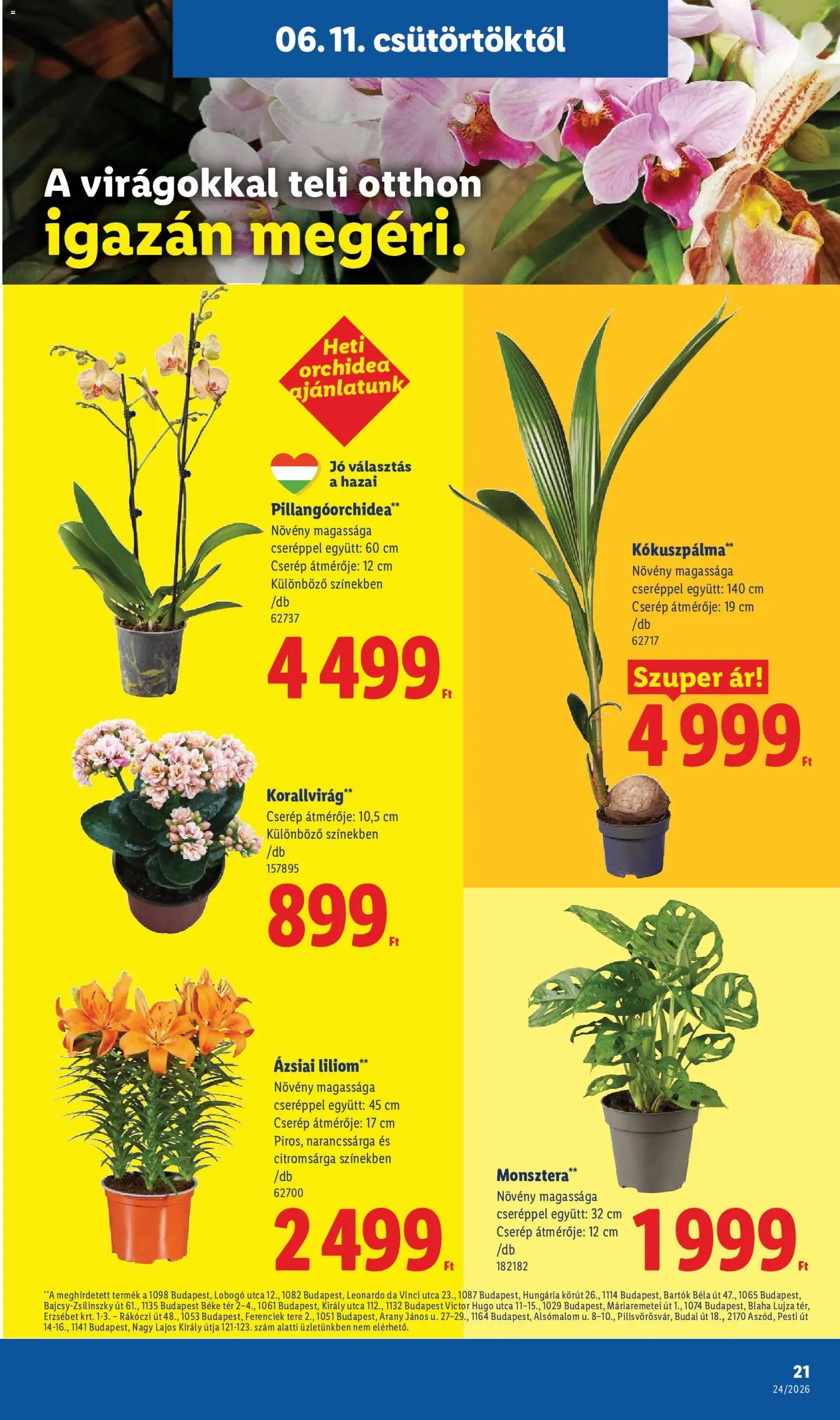 Lidl újság 2026.06.11. Lidl akciós újság