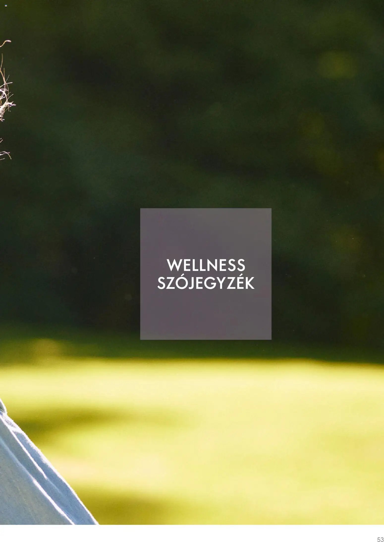 Oriflame újság 2026.01.02. Katalógus Oriflame Wellosophy Termékkatalógus (2026-01-02)