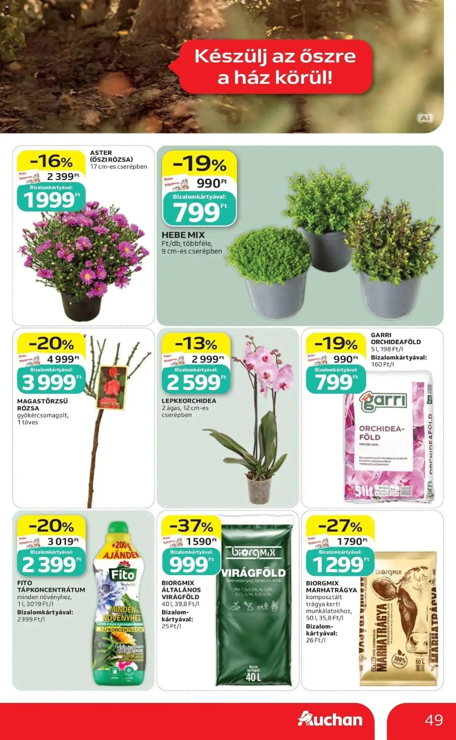 Auchan újság 2026.10.01. Auchan akciós újság Szolnok