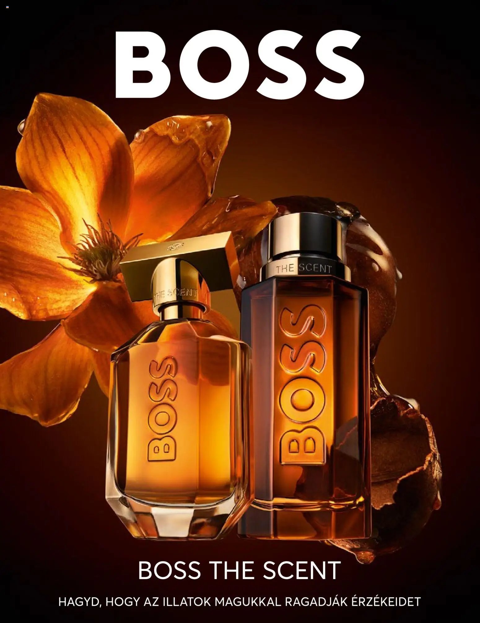 Müller újság 2026.02.02. Lifestyle magazin (2026-02-02)