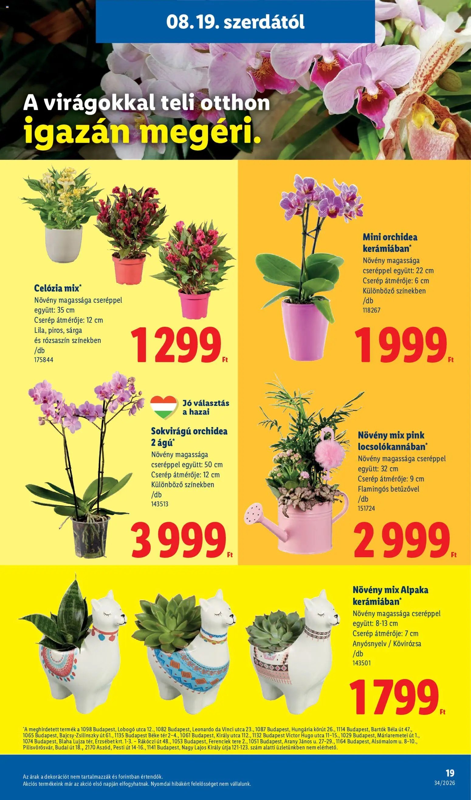 Lidl újság 2026.08.19. Lidl akciós újság