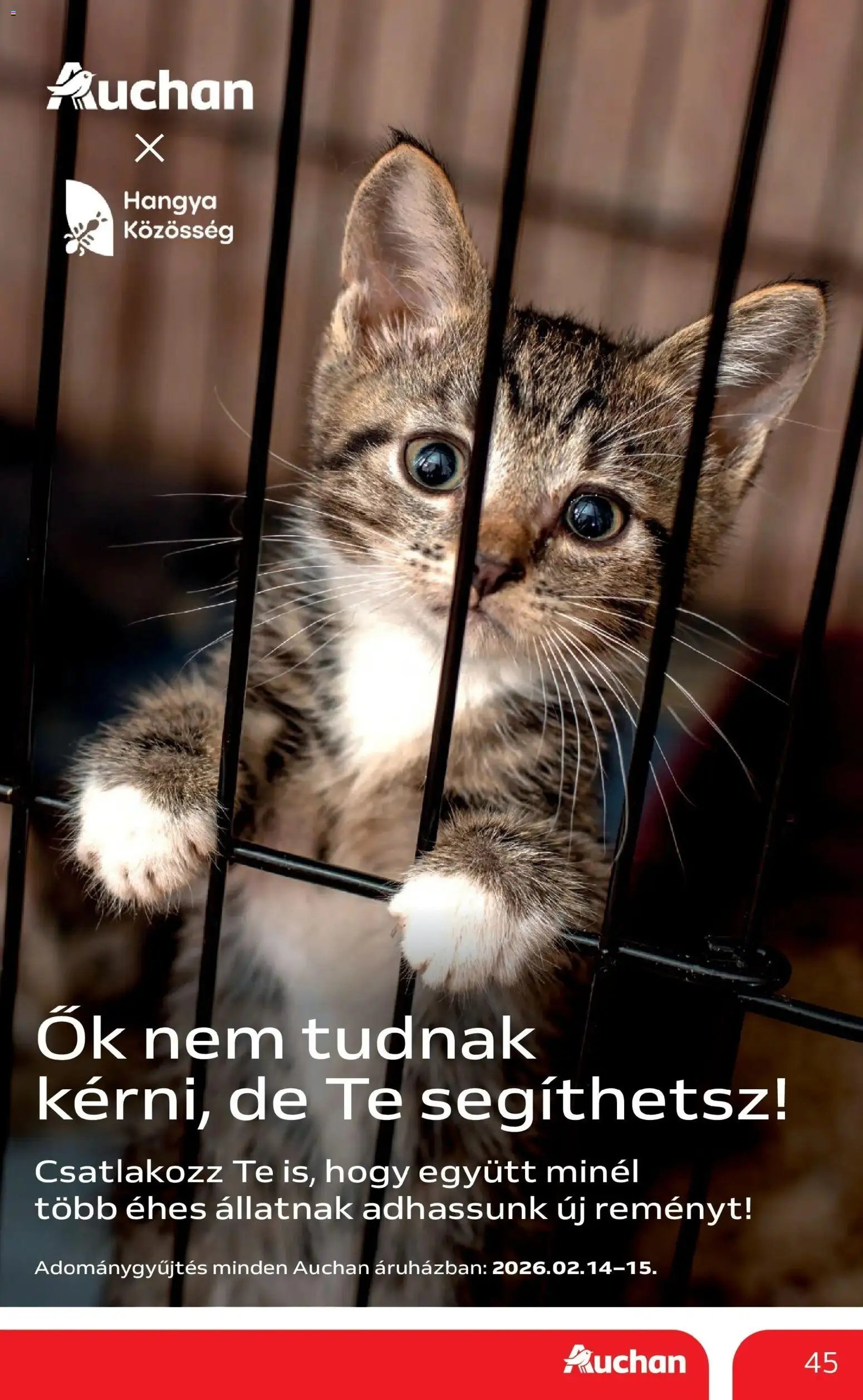 Auchan újság 2026.02.12. Szeged Akciós újság Auchan (2026-02-12 - 2026-02-18)