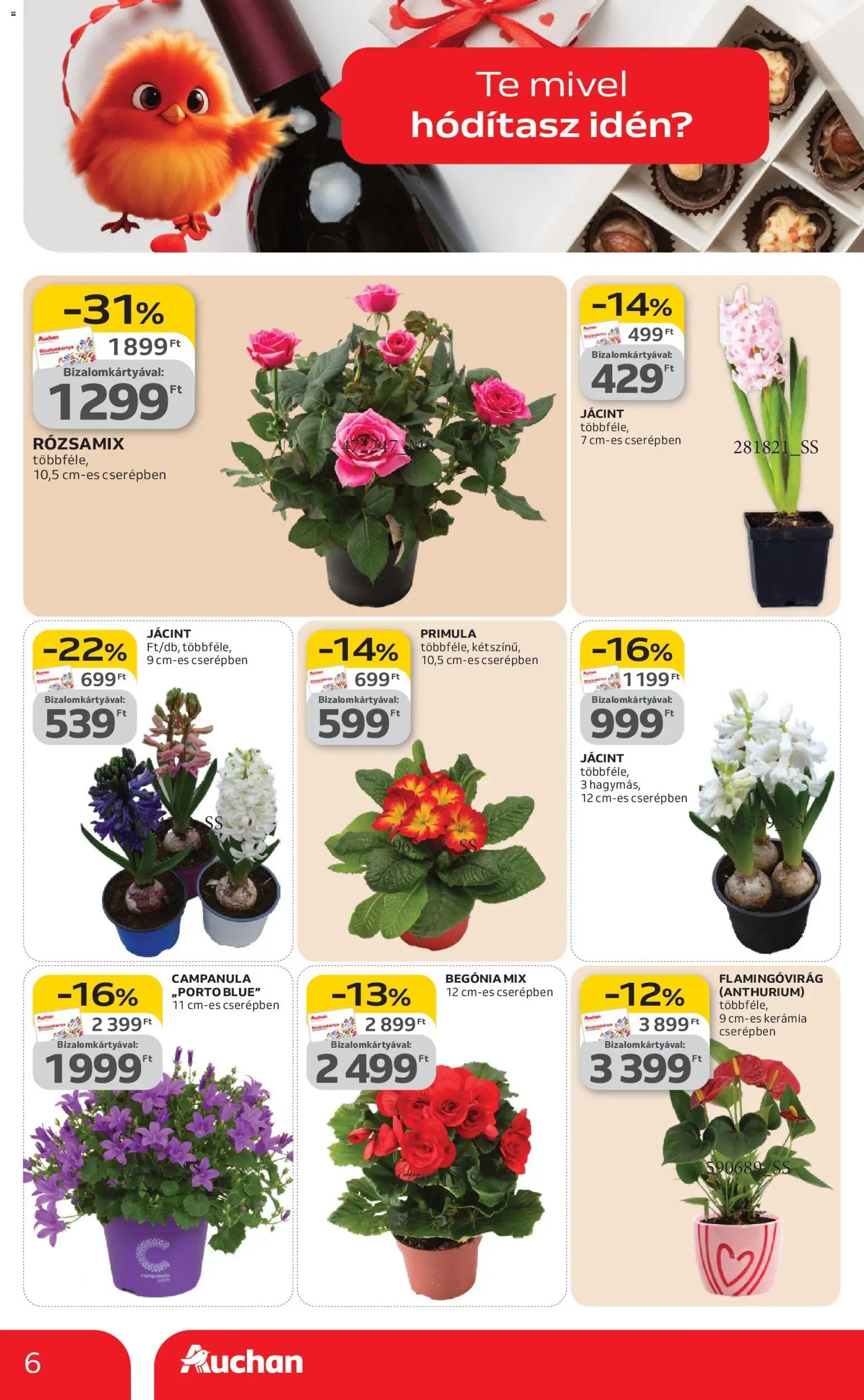 Auchan újság 2026.02.05. Valentin napi ajánlataink (2026-02-05 - 2026-02-18)
