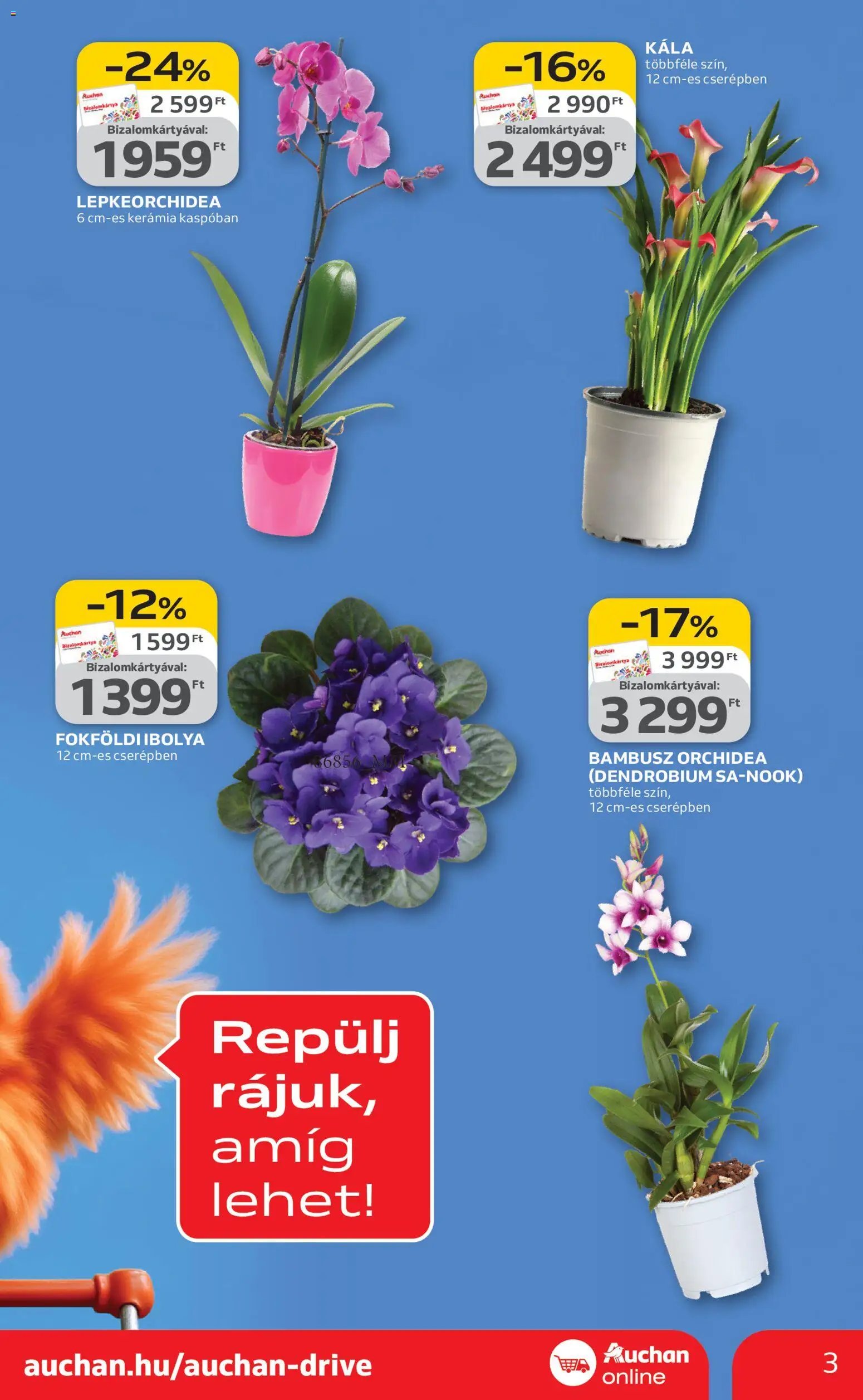 Auchan újság 2026.02.05. Szupermarket akciós újság (2026-02-05 - 2026-02-11)